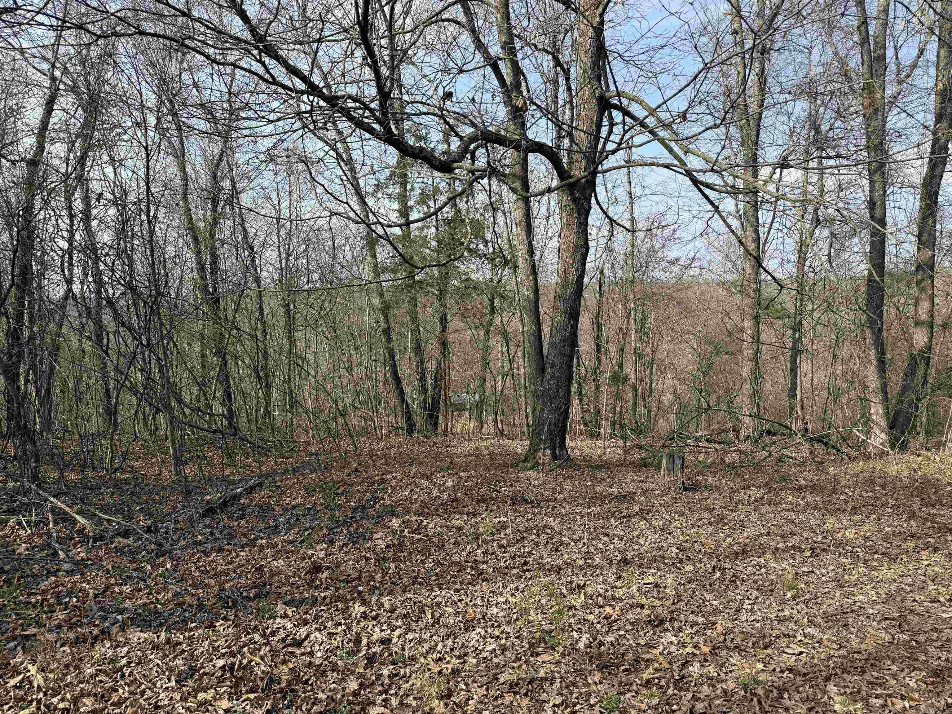 150 Woopsee  Leslie, AR