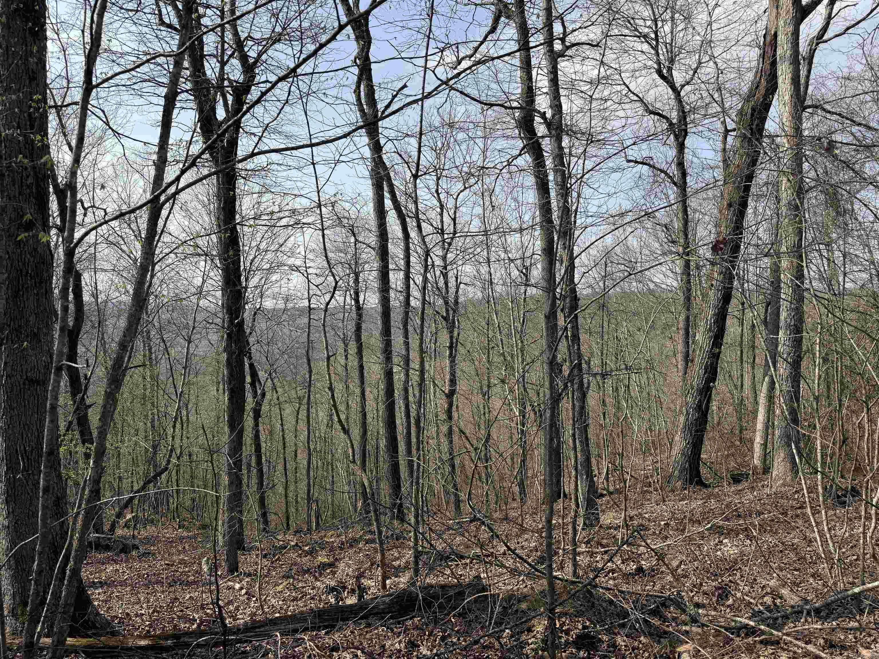 150 Woopsee  Leslie, AR