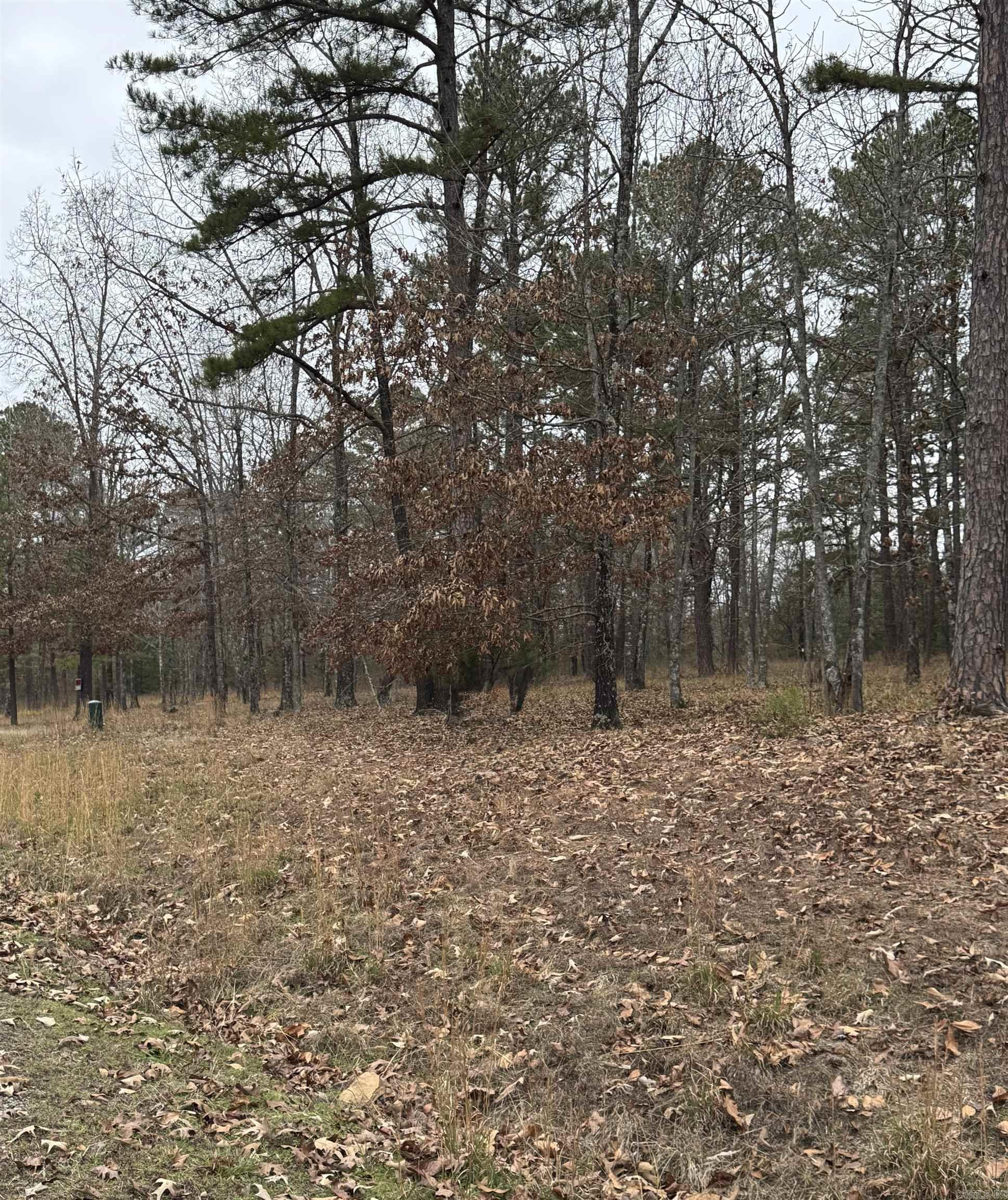 Lot 51 Primrose Creek  Heber Springs, AR