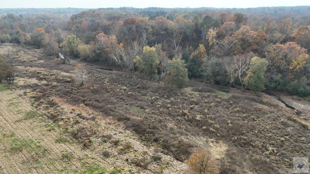 4 Brian Harris Drive  Murfreesboro, AR