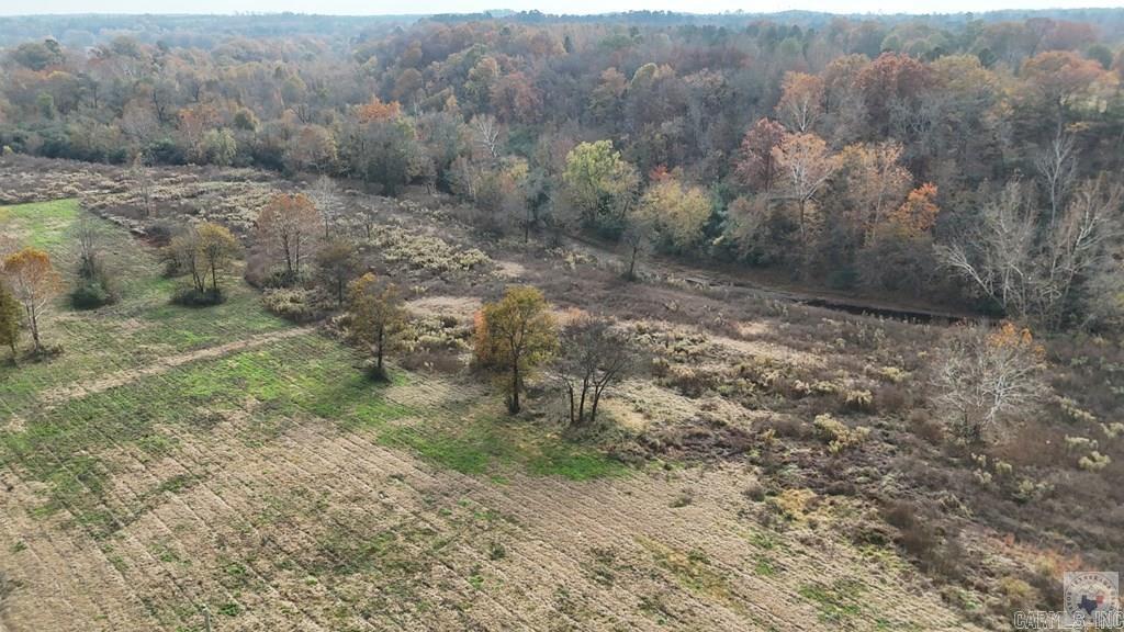 4 Brian Harris Drive  Murfreesboro, AR