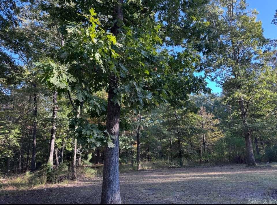 14200 Cherylwood  Alexander, AR