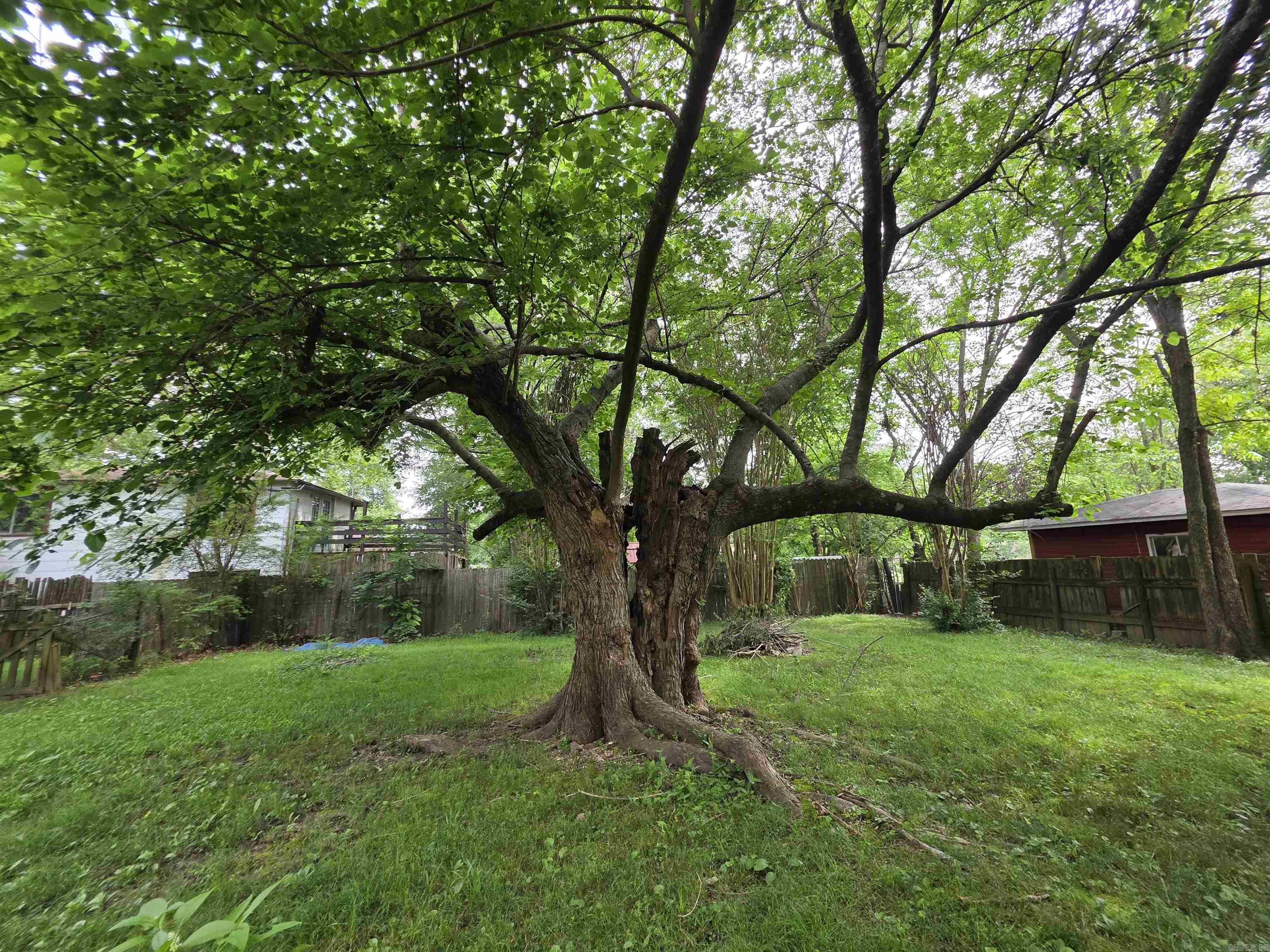 109 S Adams  Mena, AR