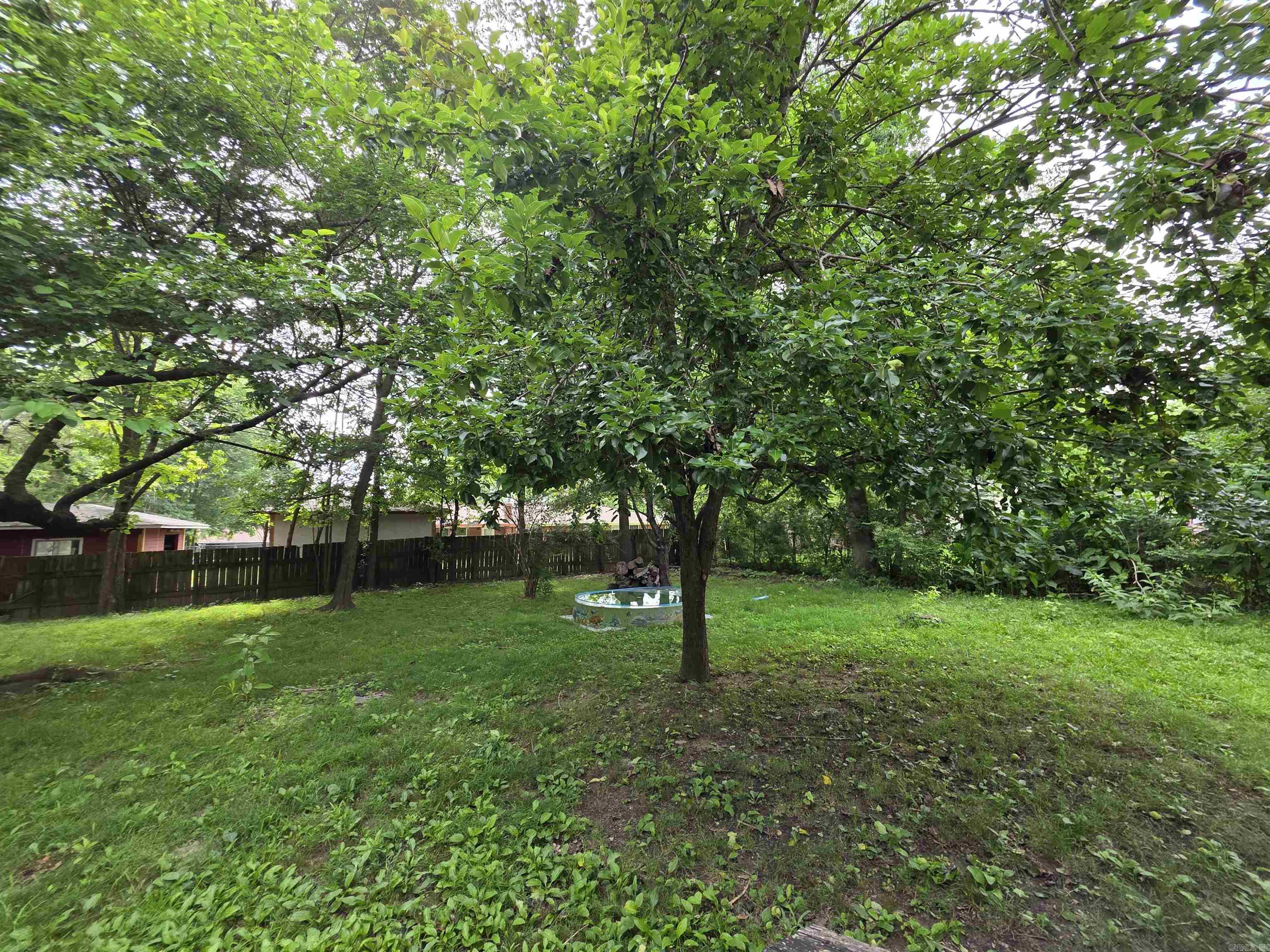 109 S Adams  Mena, AR