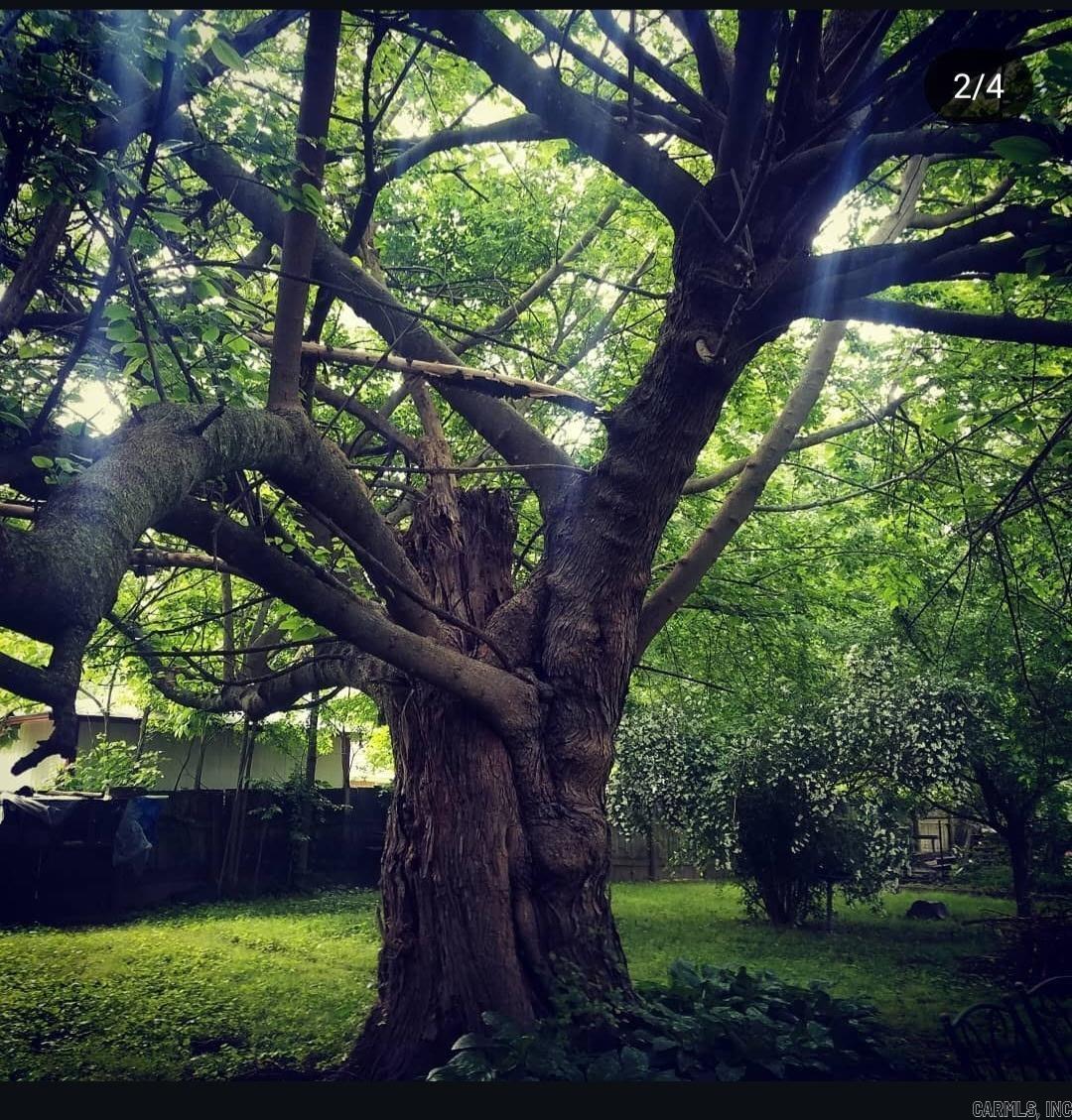 109 S Adams  Mena, AR