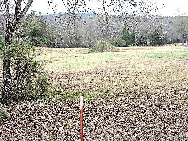 16 Cherub Court  Greenbrier, AR