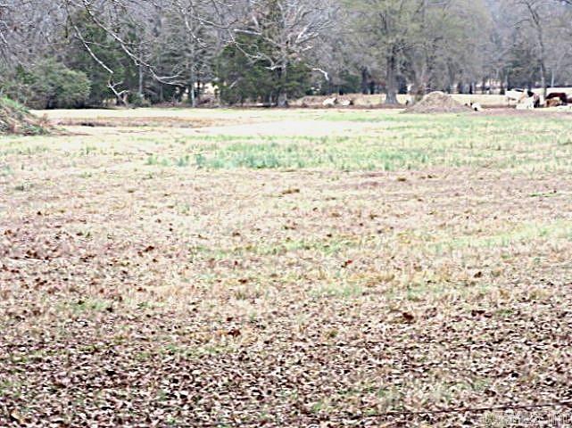 16 Cherub Court  Greenbrier, AR