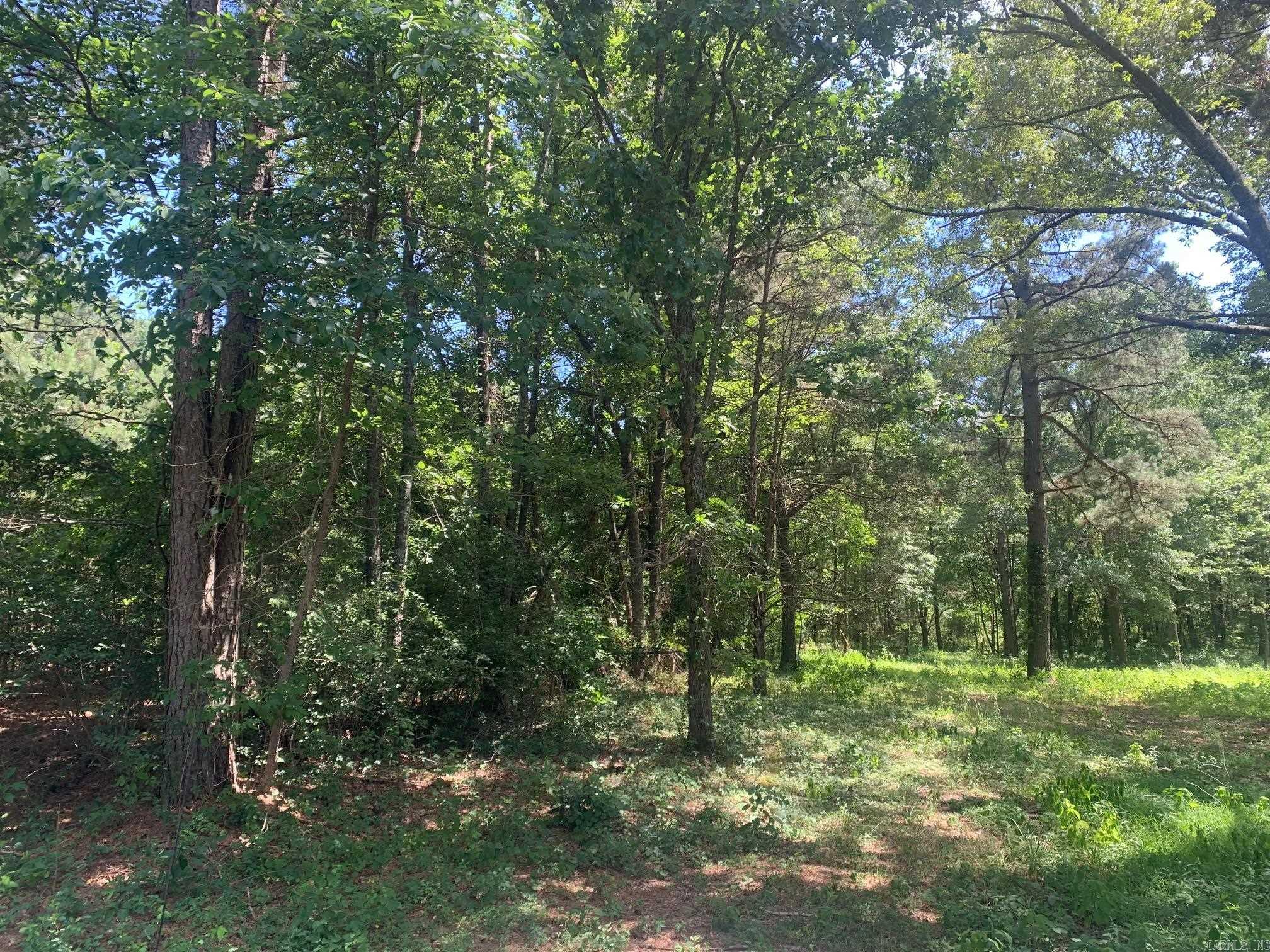 365 Skinner  Austin, AR