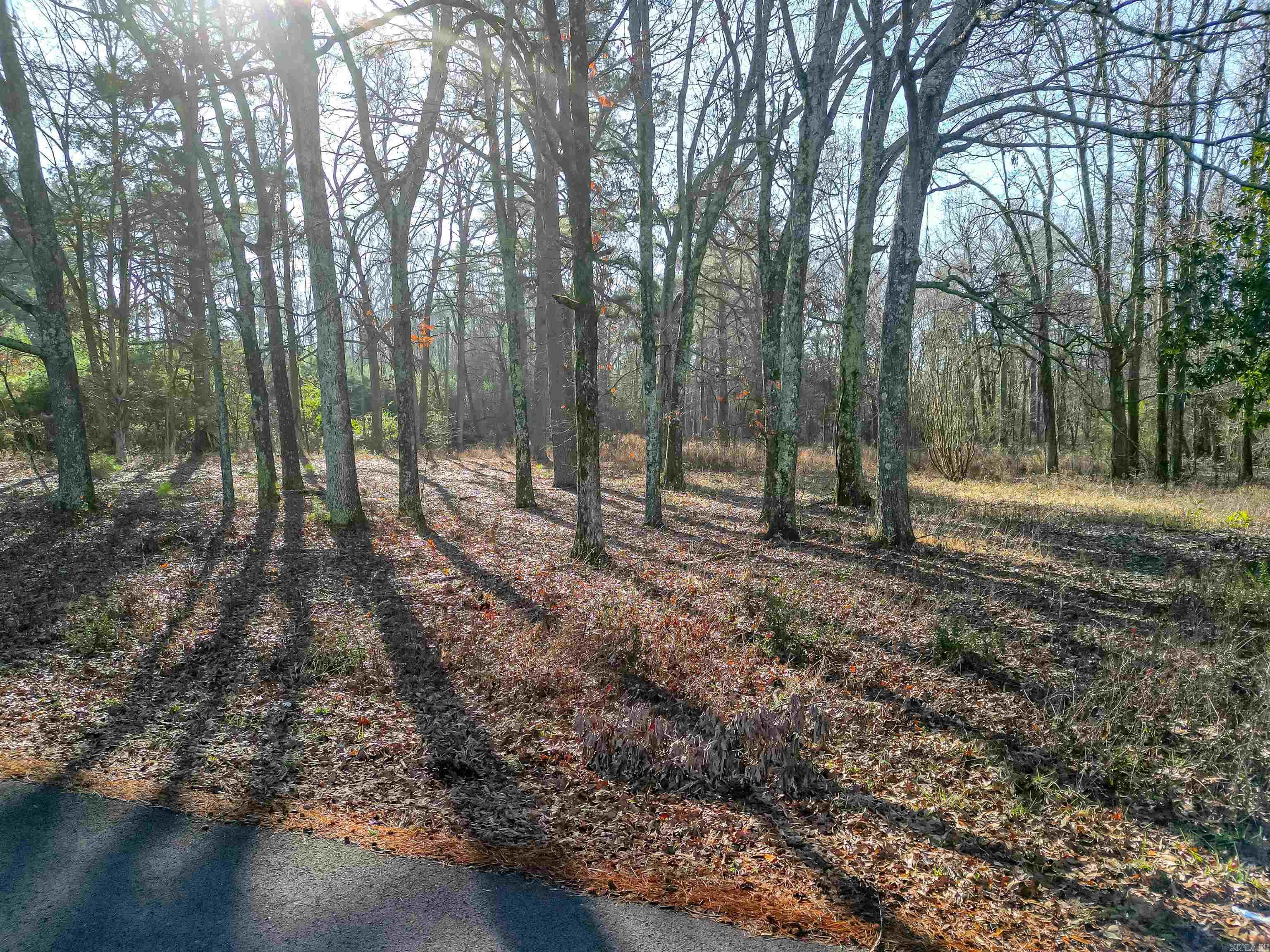 365 Skinner  Austin, AR