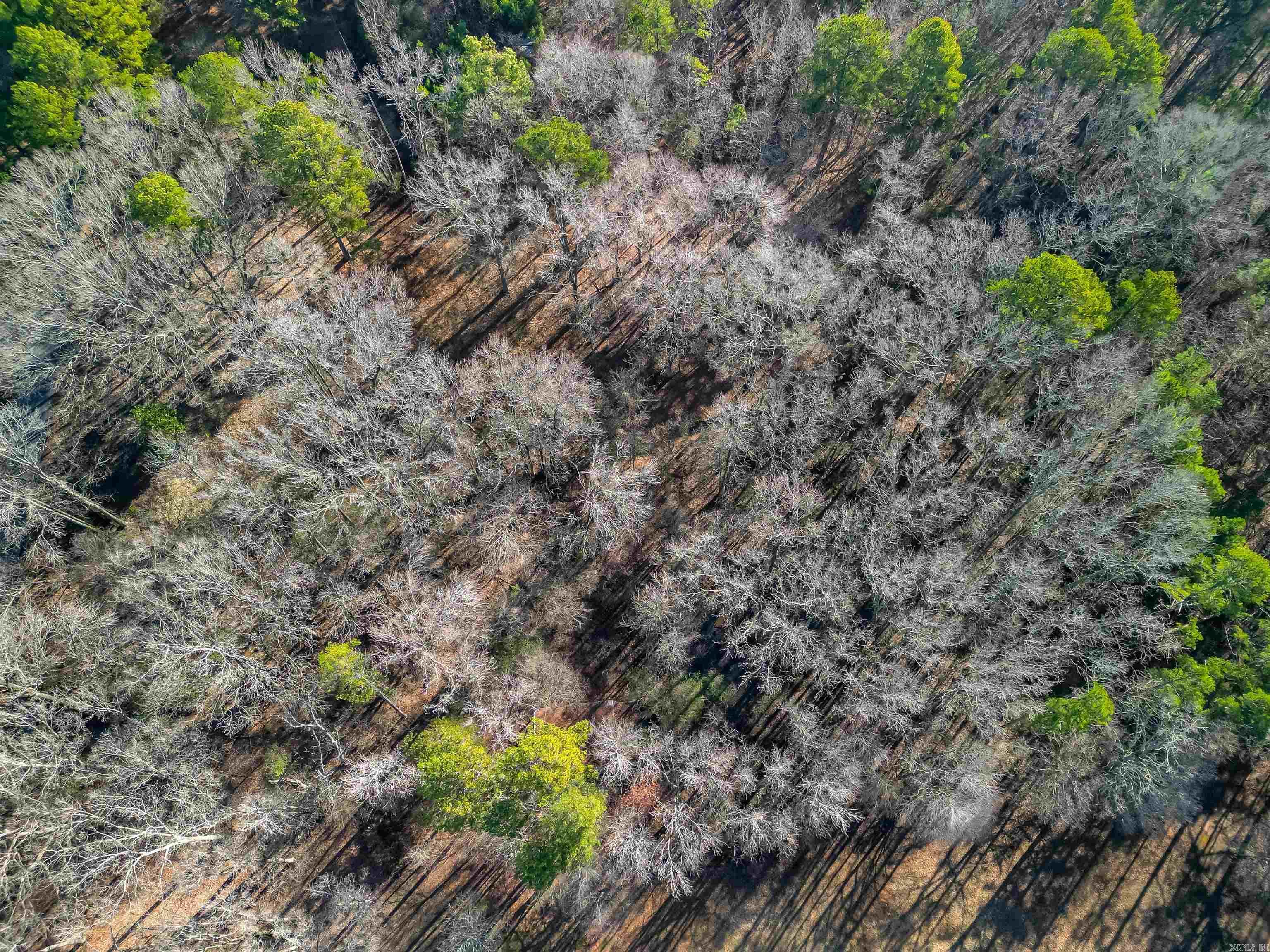 365 Skinner  Austin, AR