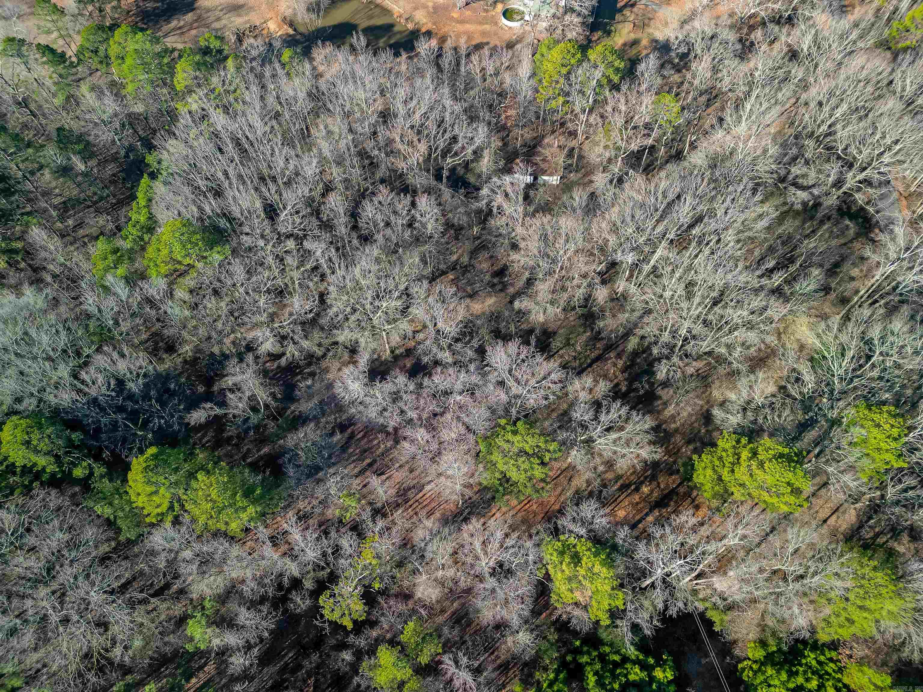 365 Skinner  Austin, AR