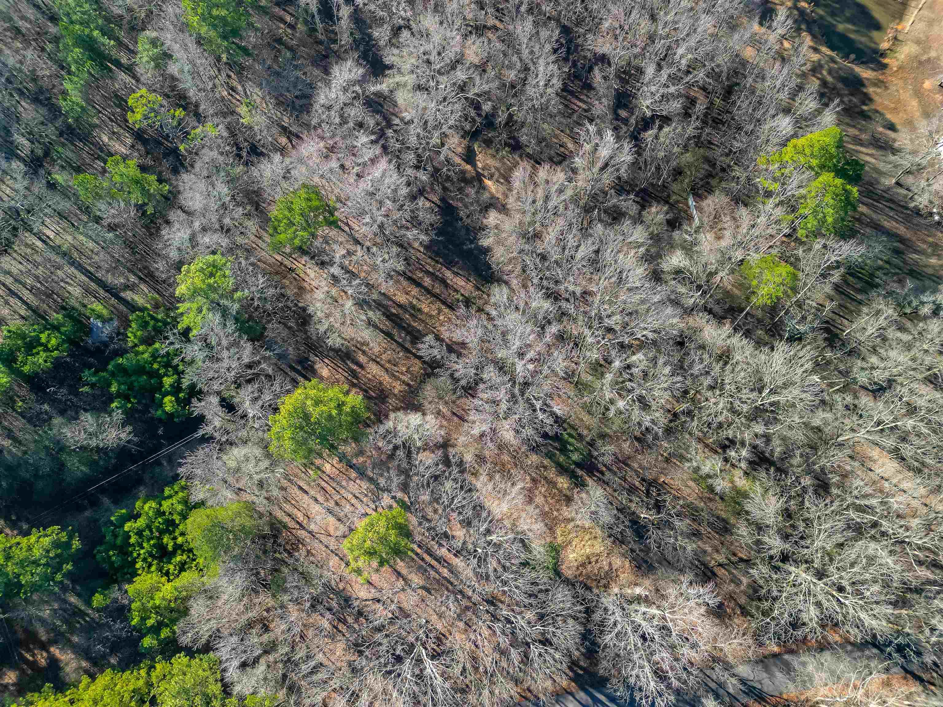 365 Skinner  Austin, AR