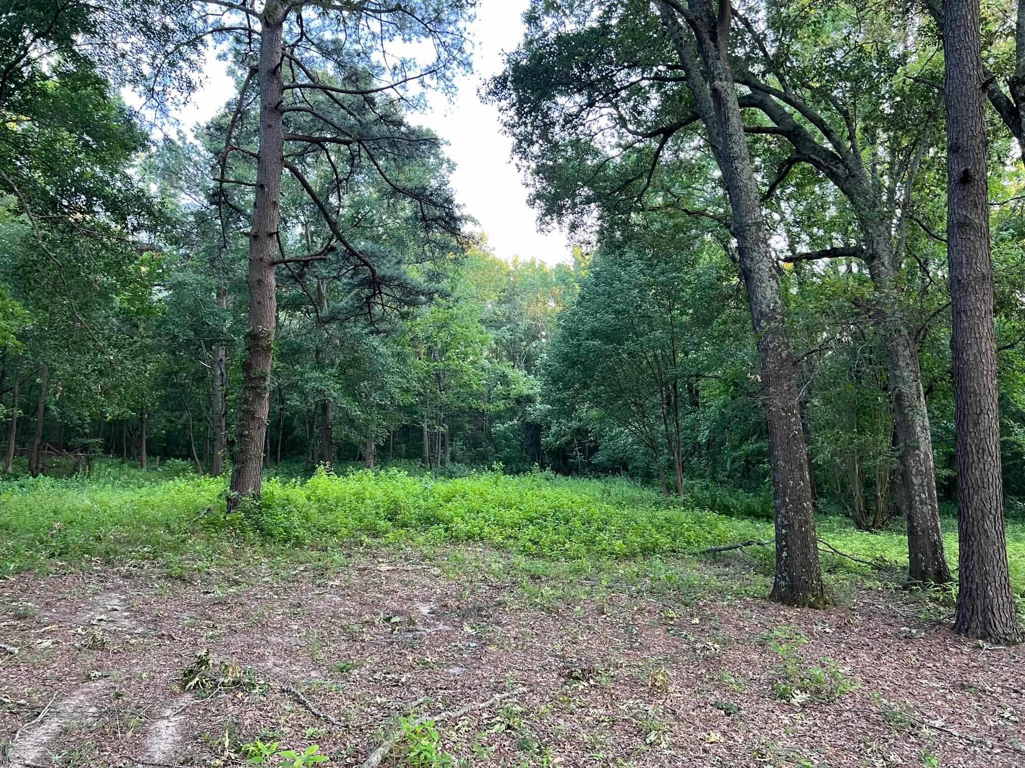 365 Skinner  Austin, AR