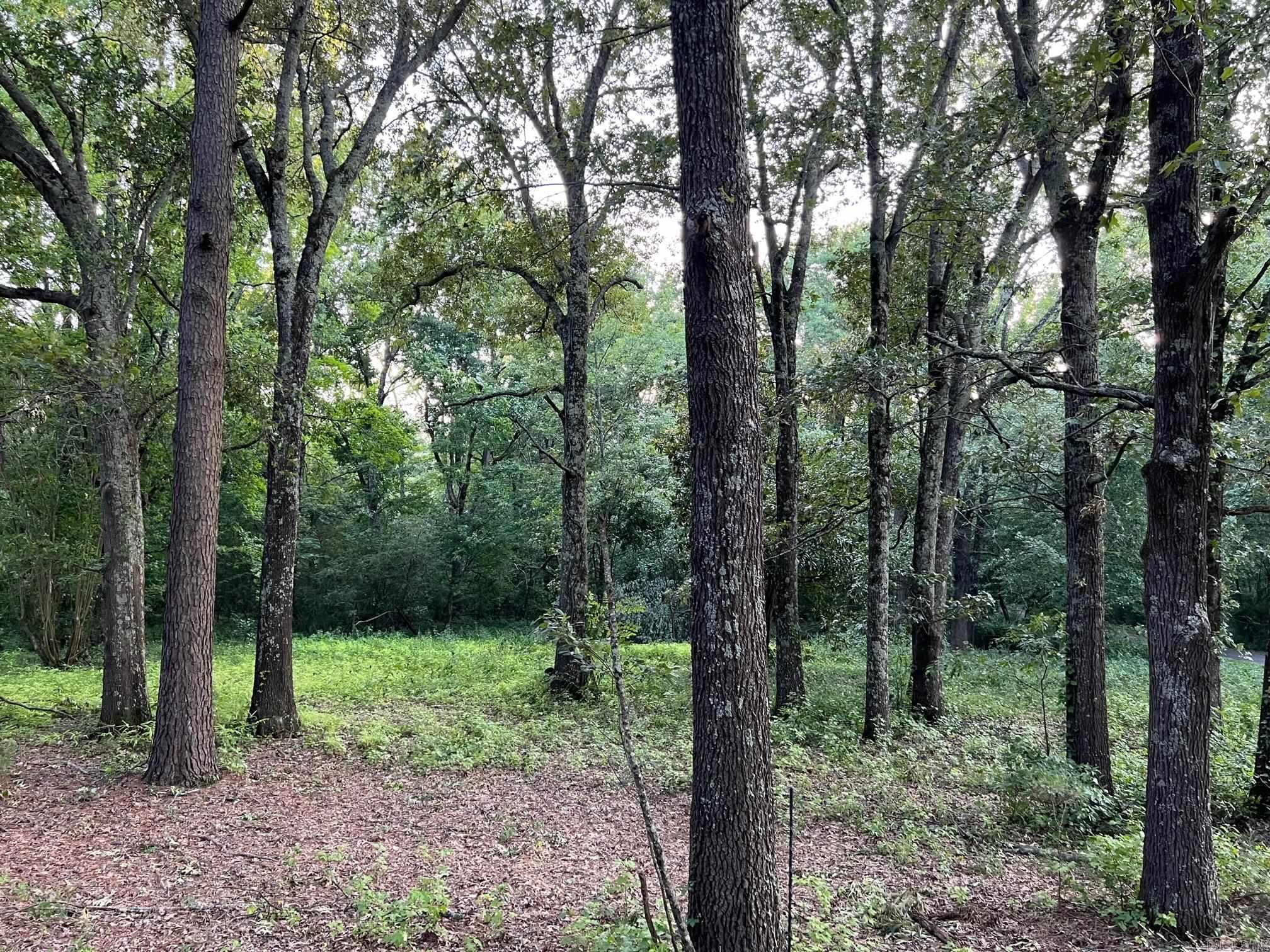 365 Skinner  Austin, AR