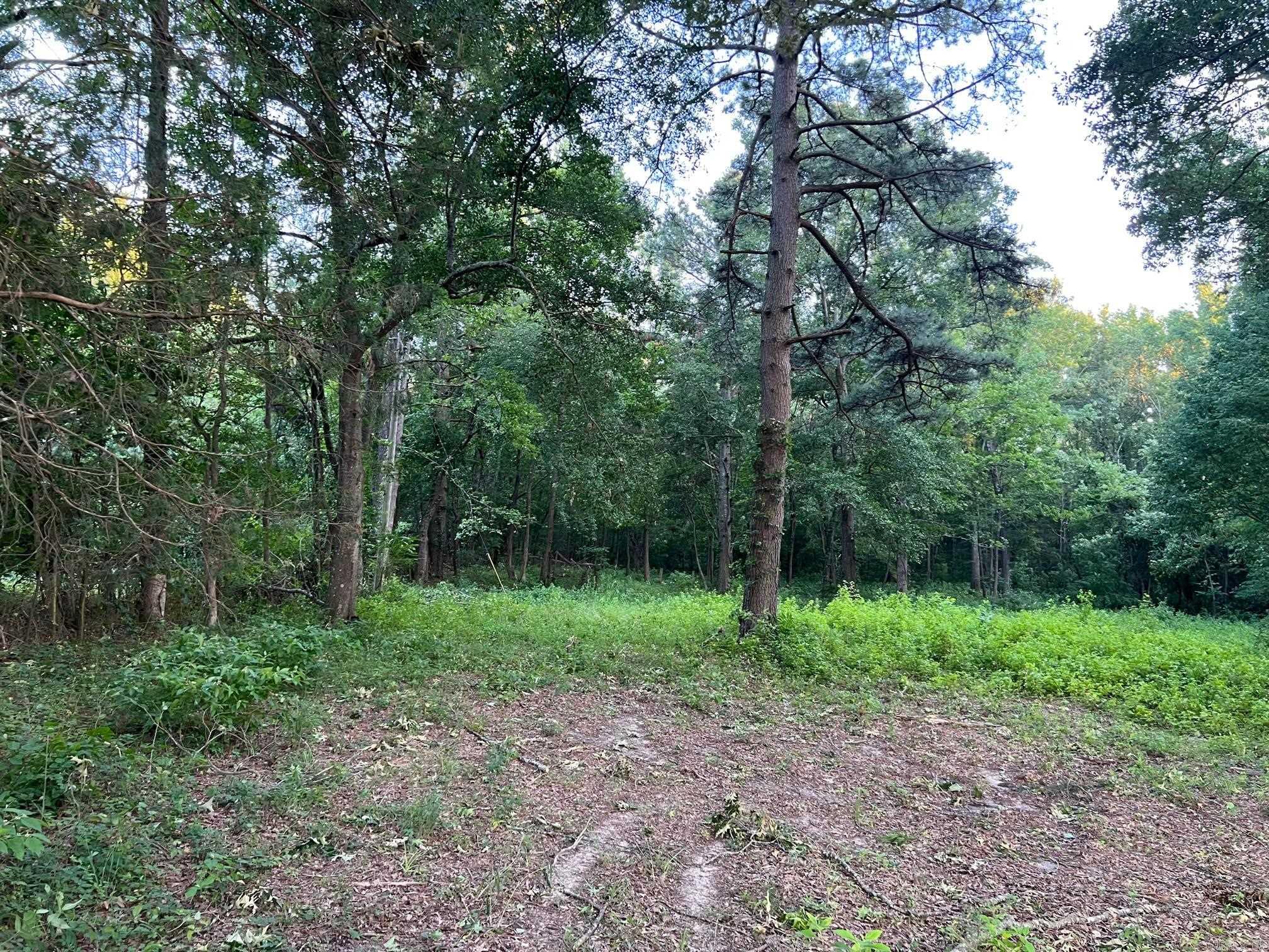 365 Skinner  Austin, AR