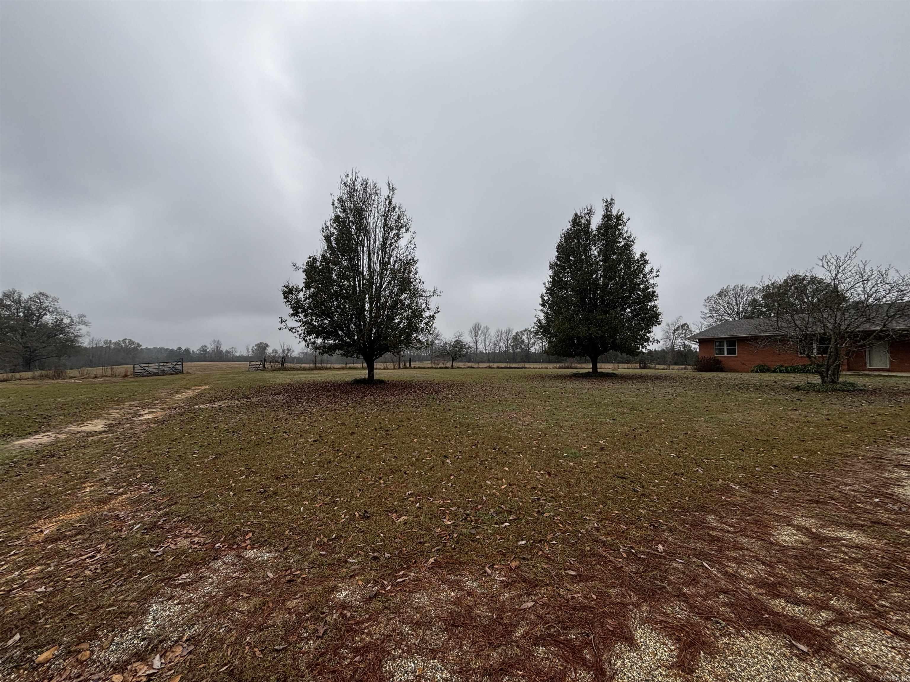 89 Nantz  Arkadelphia, AR