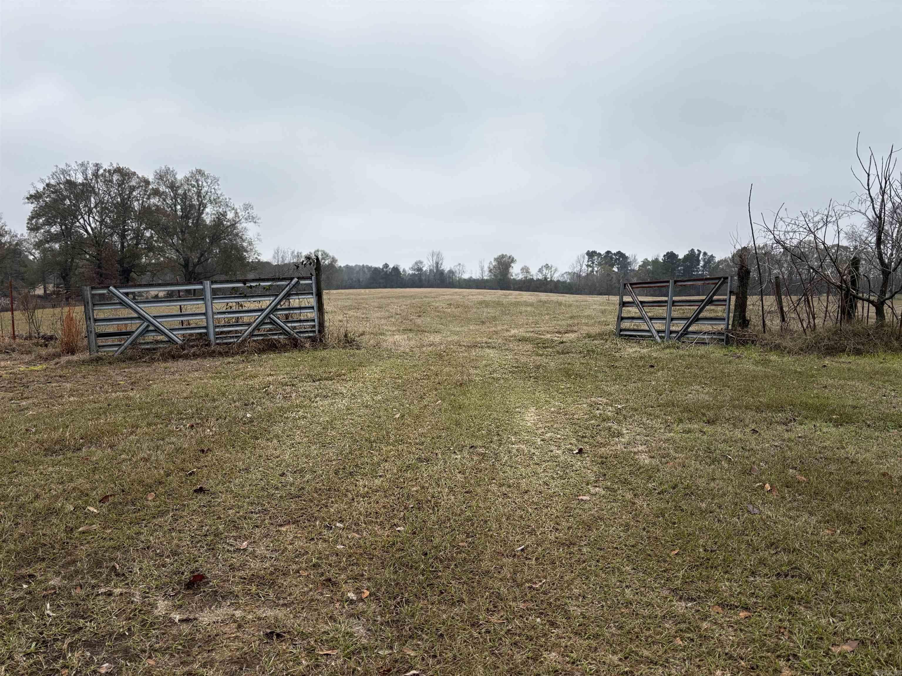 89 Nantz  Arkadelphia, AR