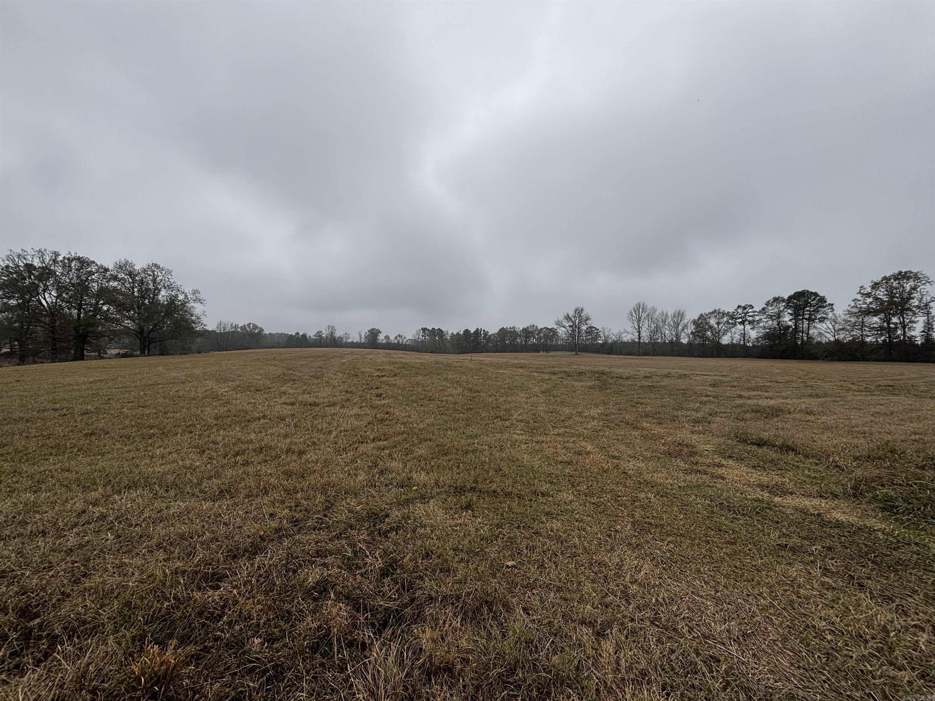 89 Nantz  Arkadelphia, AR