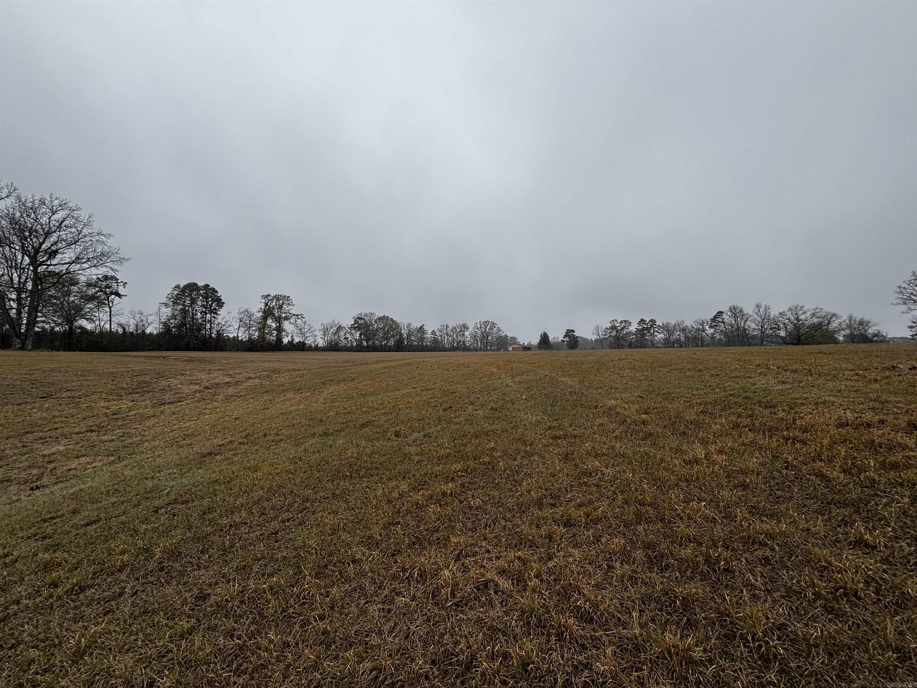 89 Nantz  Arkadelphia, AR