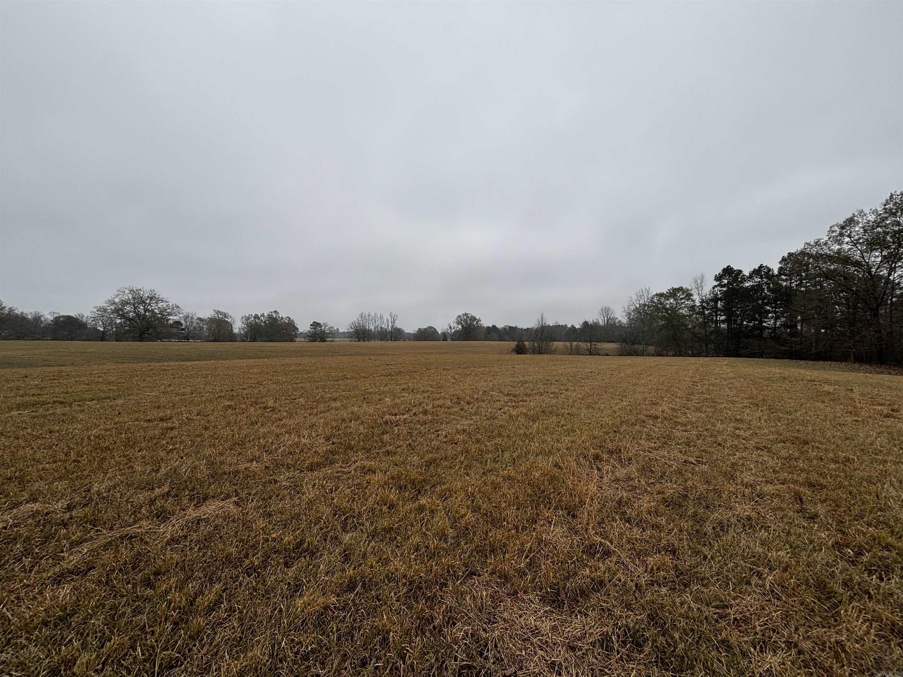 89 Nantz  Arkadelphia, AR