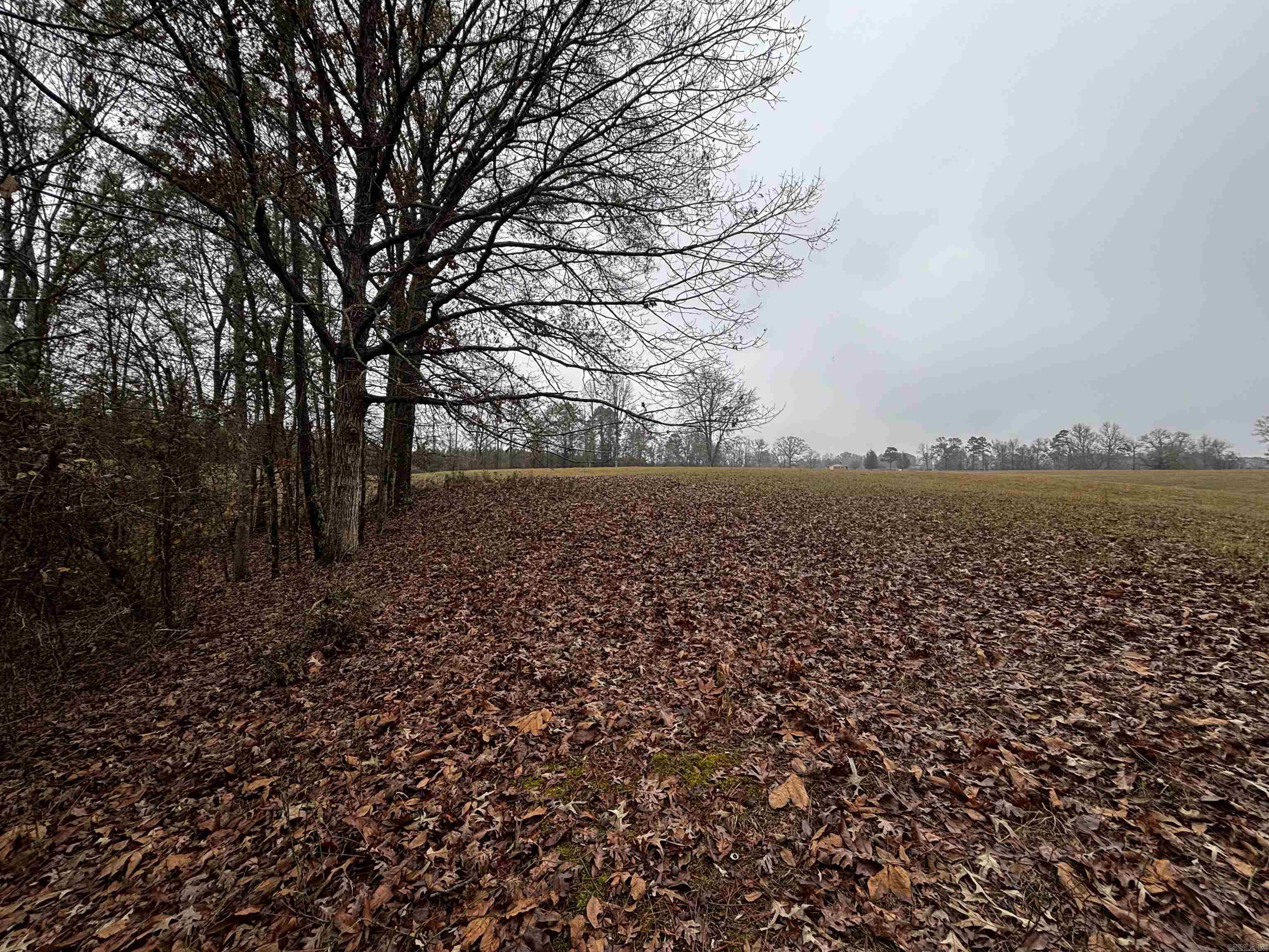 89 Nantz  Arkadelphia, AR