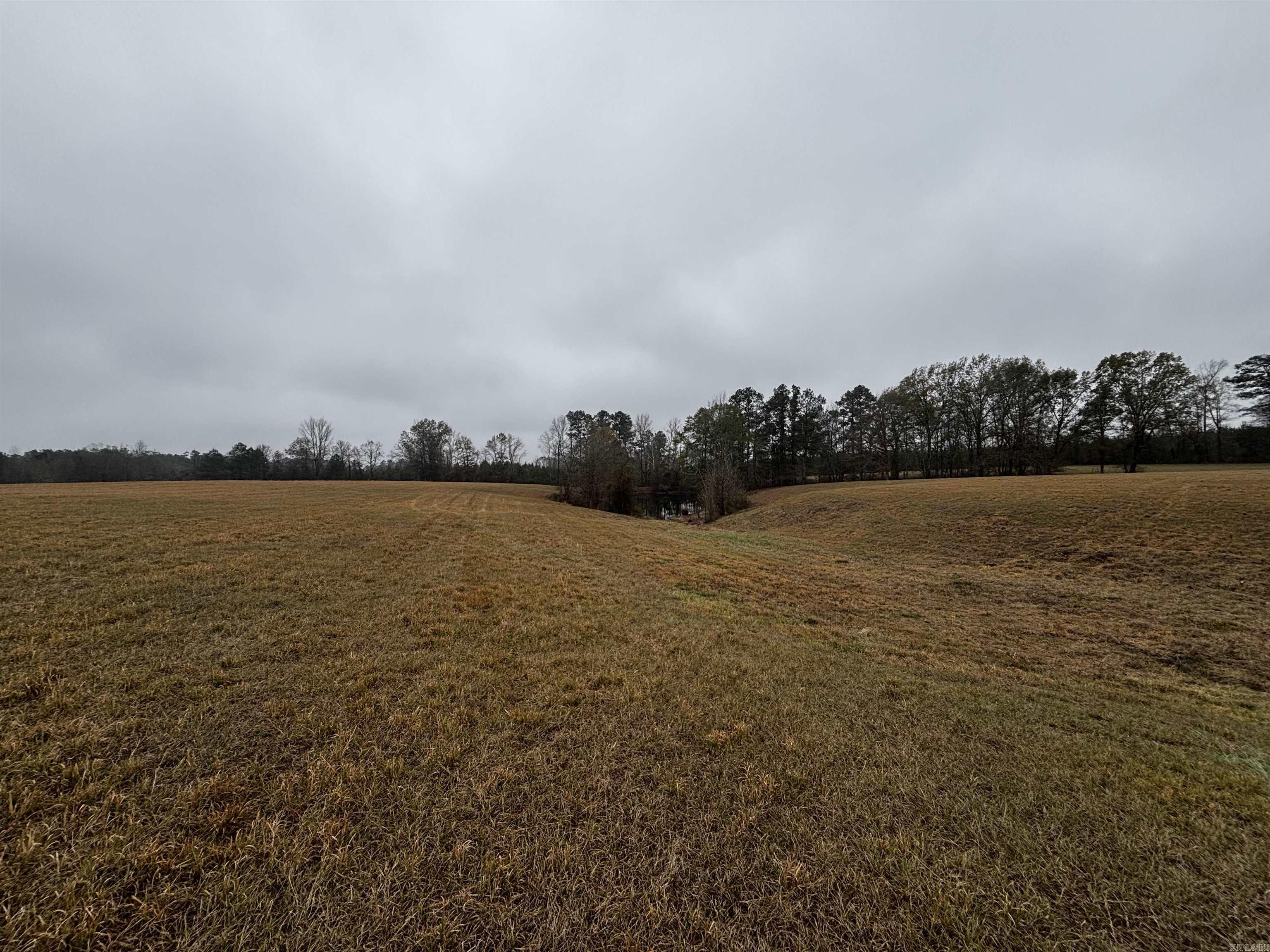 89 Nantz  Arkadelphia, AR