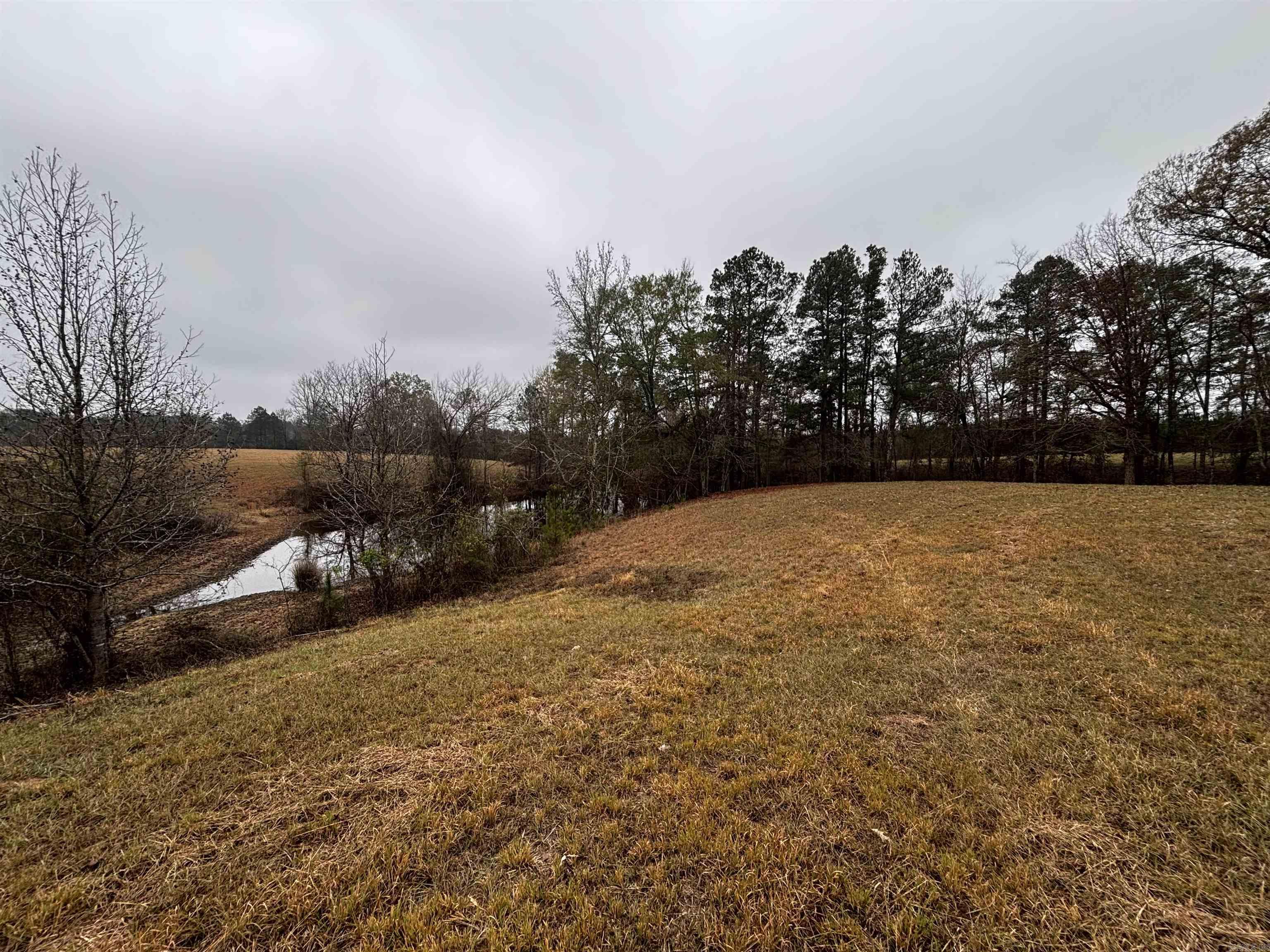 89 Nantz  Arkadelphia, AR