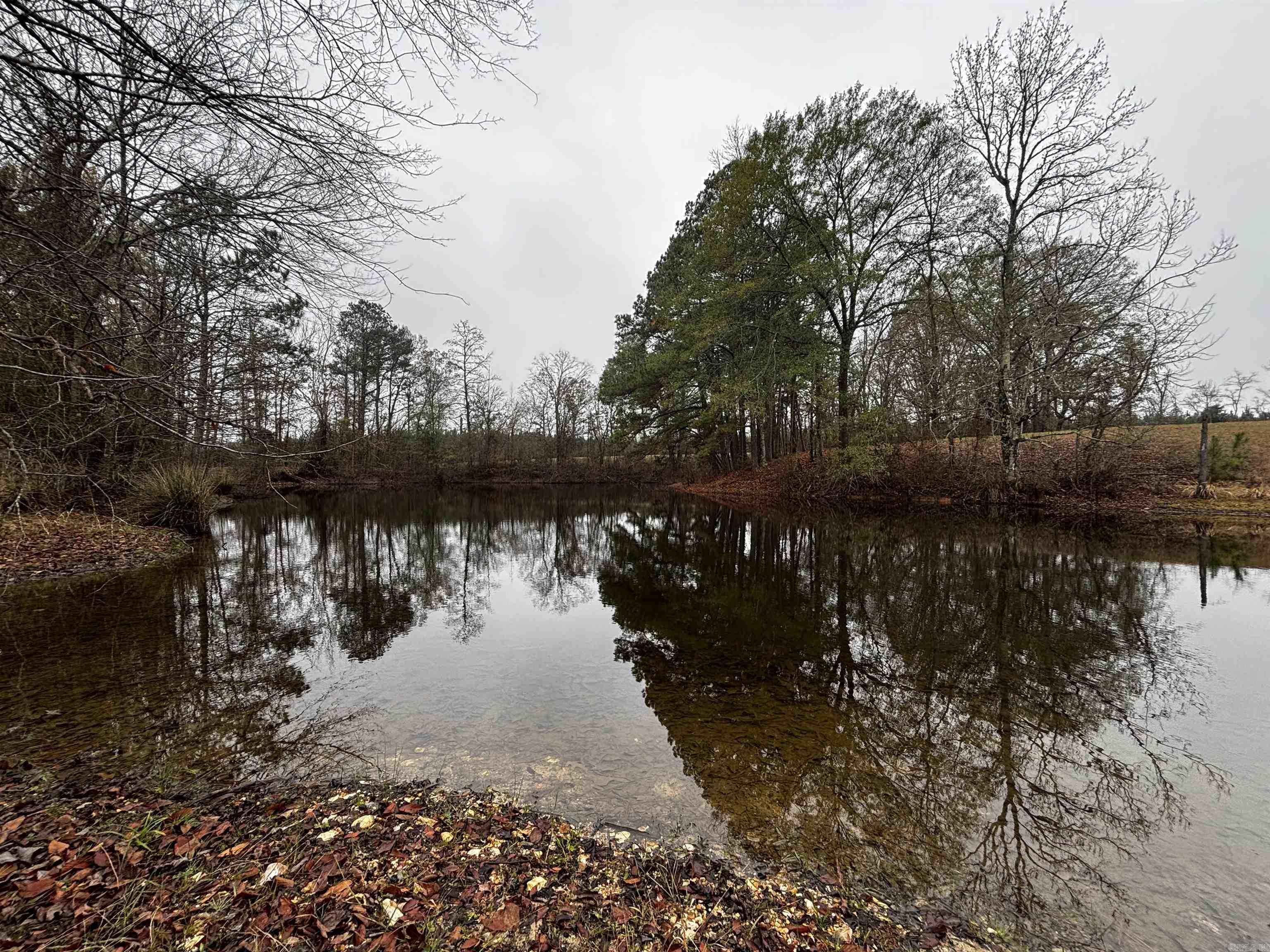 89 Nantz  Arkadelphia, AR