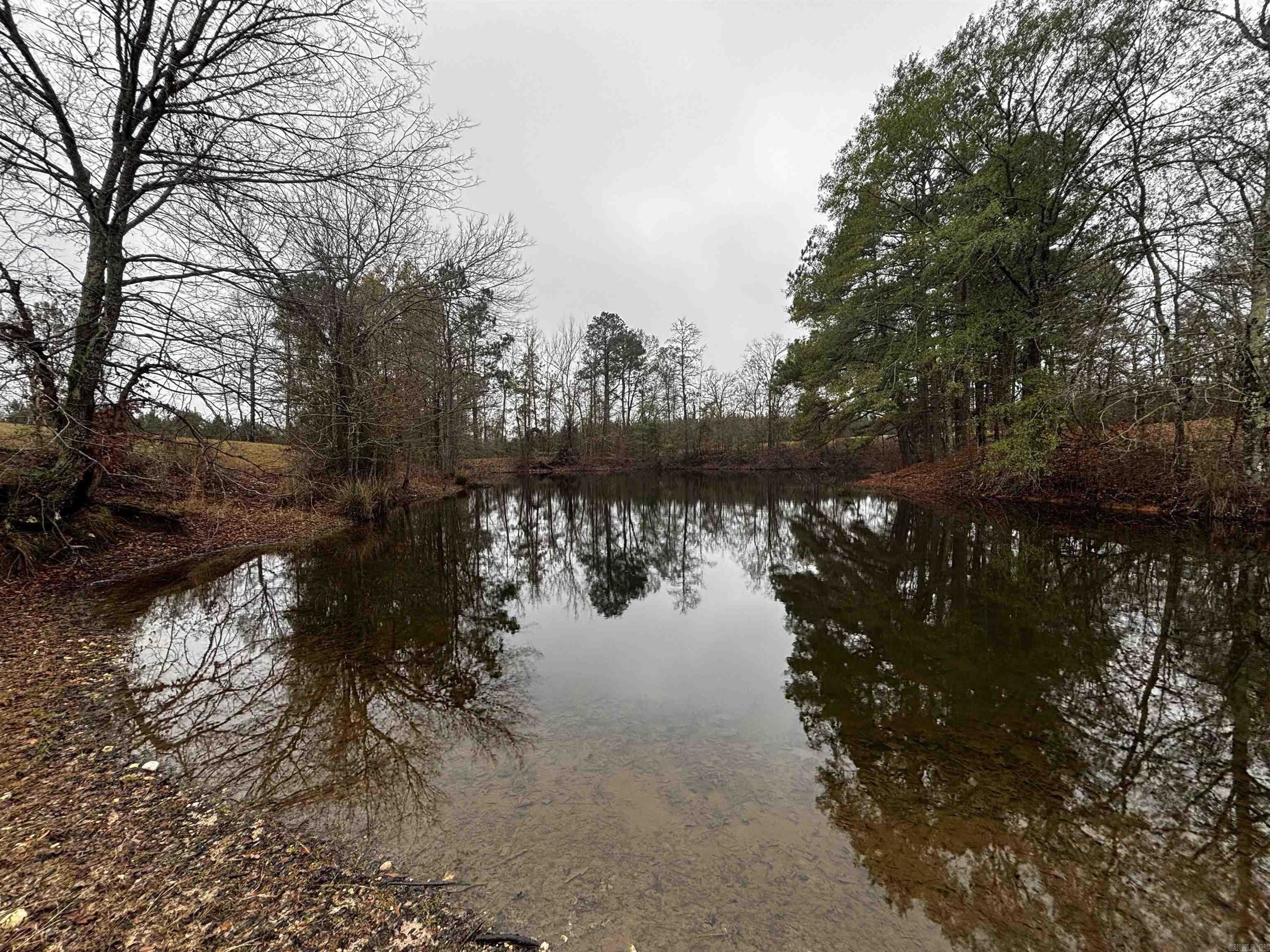 89 Nantz  Arkadelphia, AR