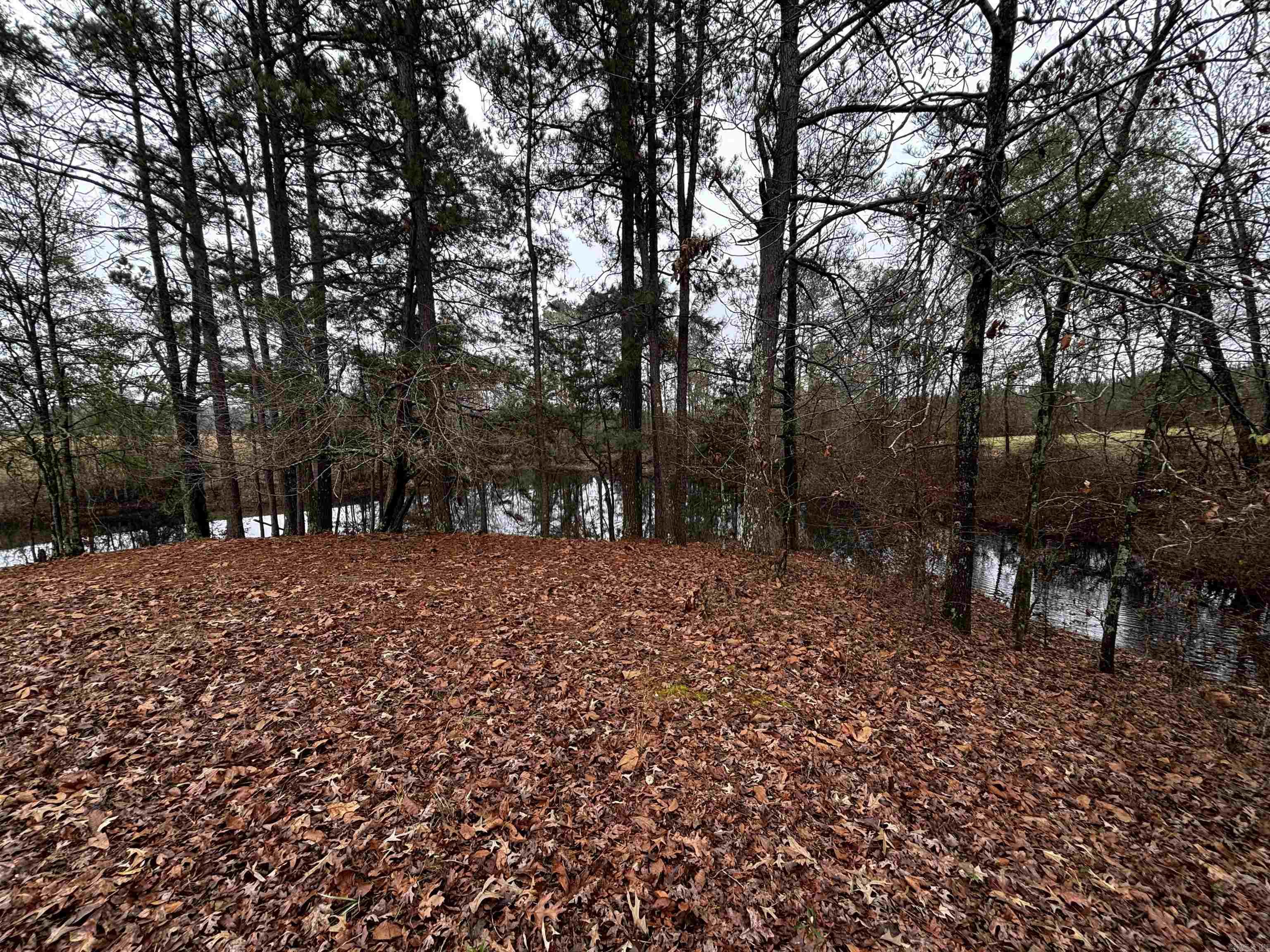 89 Nantz  Arkadelphia, AR