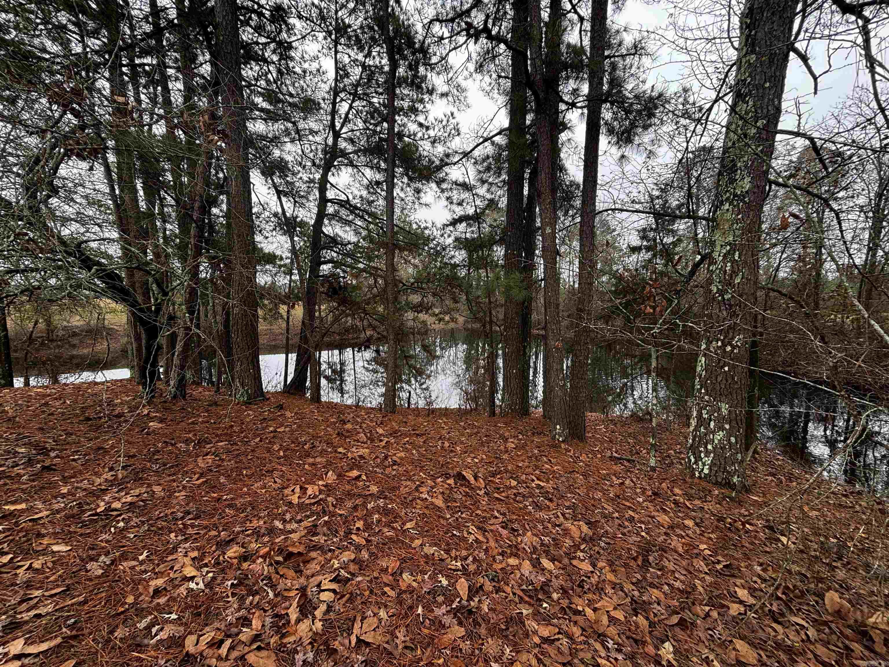 89 Nantz  Arkadelphia, AR