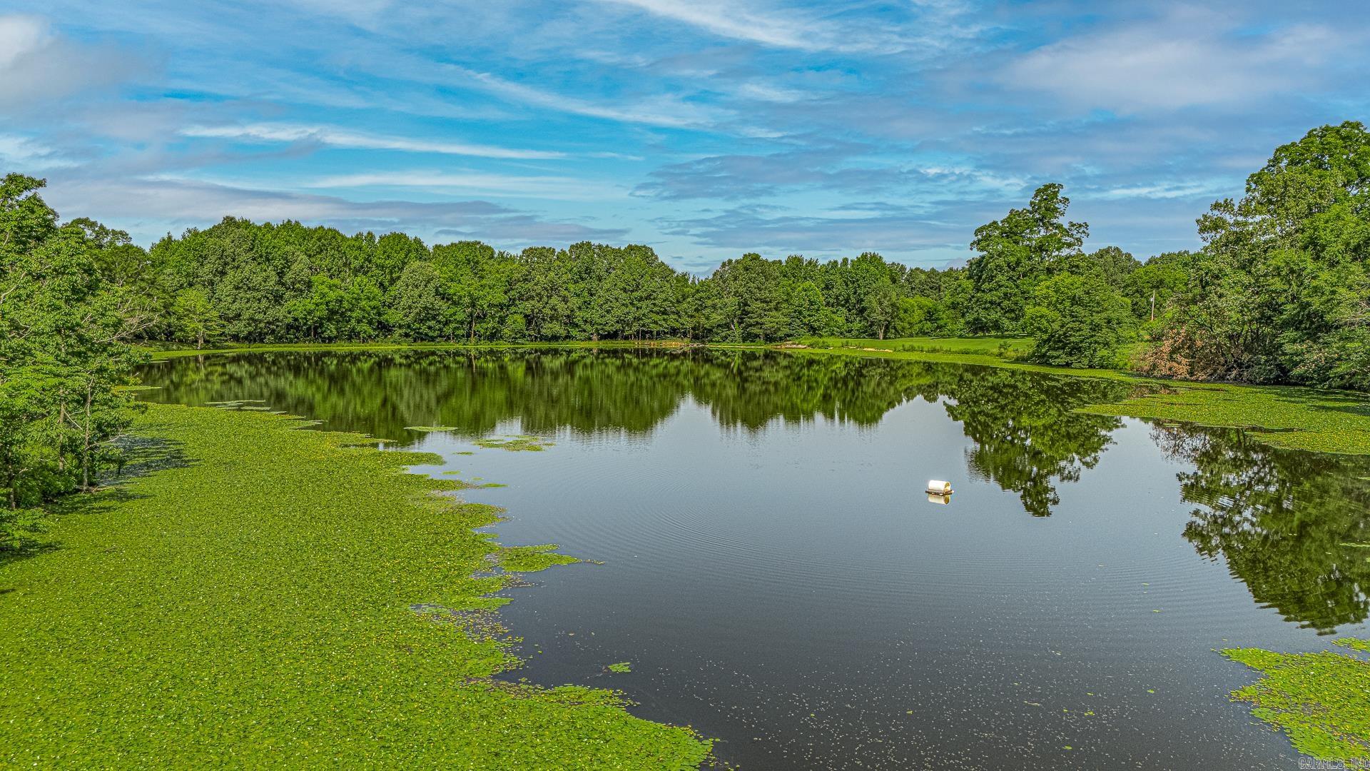 601 CR 3540  Wynne, AR