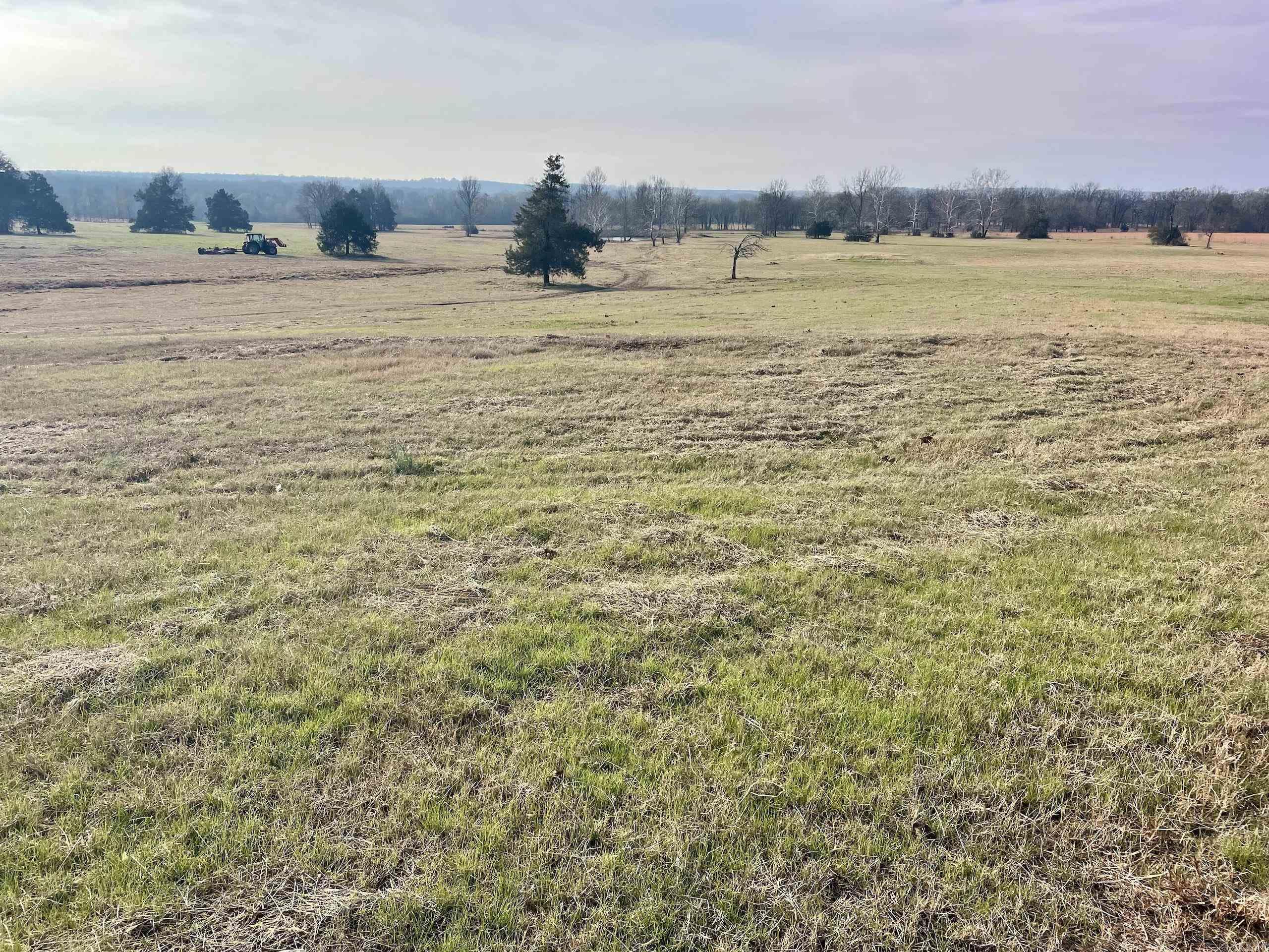 000 Red Hill  Mount Vernon, AR