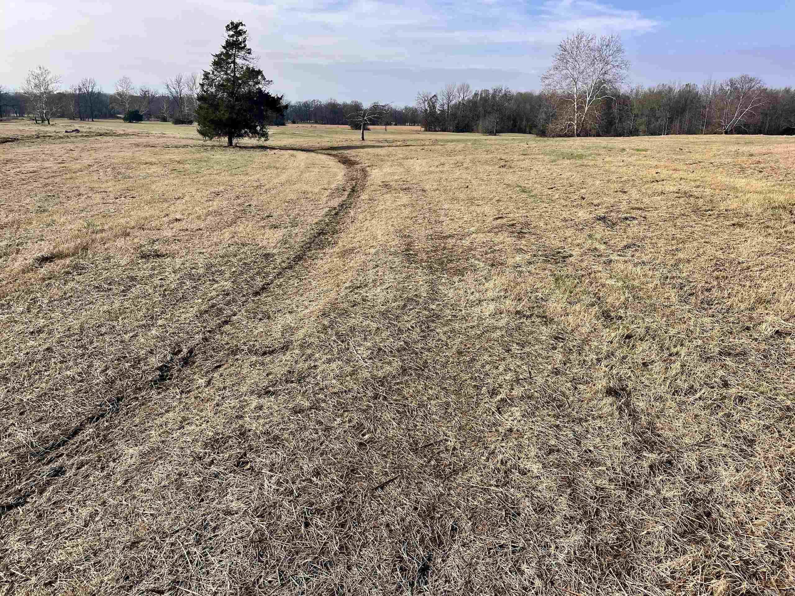 000 Red Hill  Mount Vernon, AR