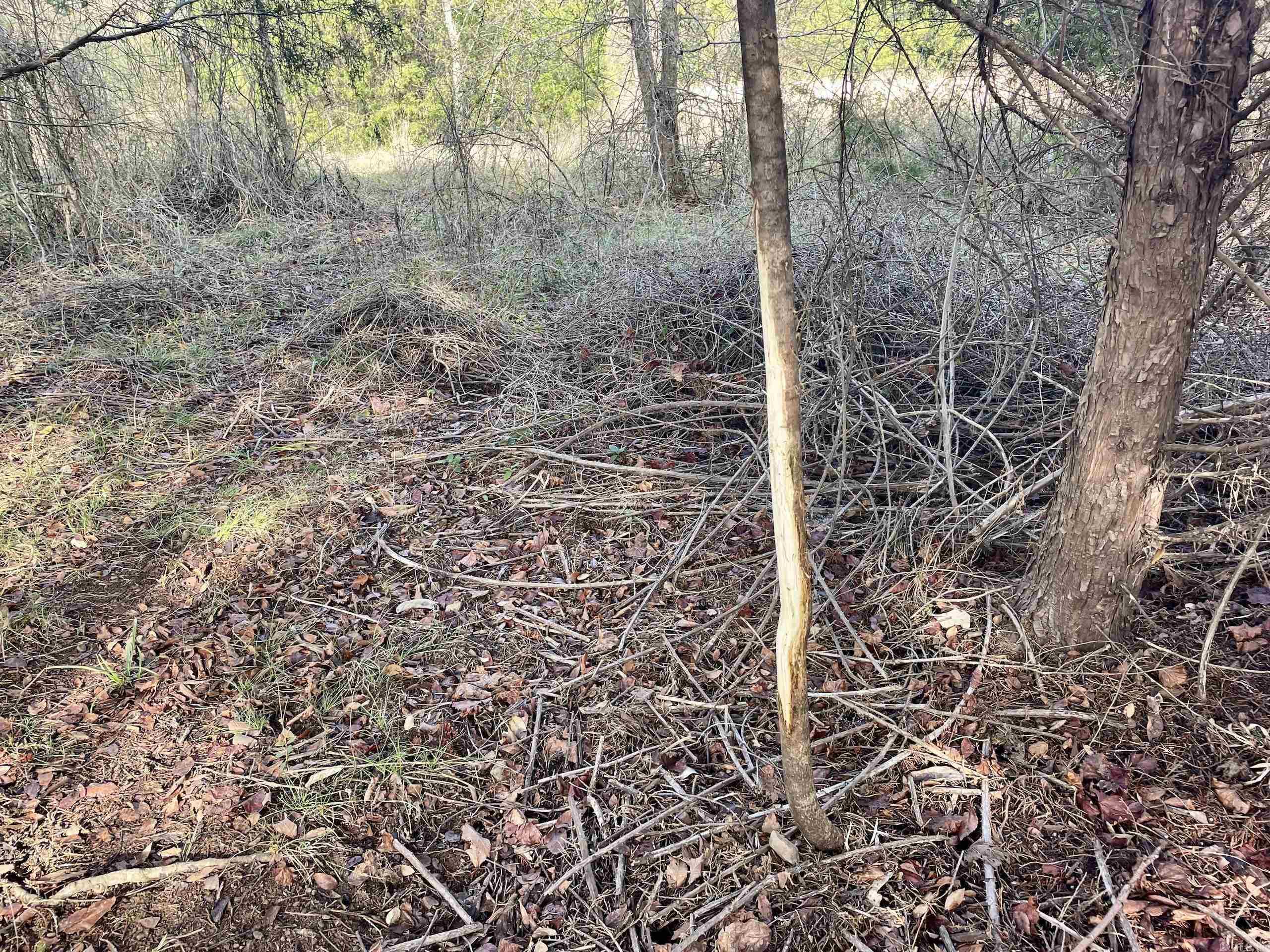 000 Red Hill  Mount Vernon, AR