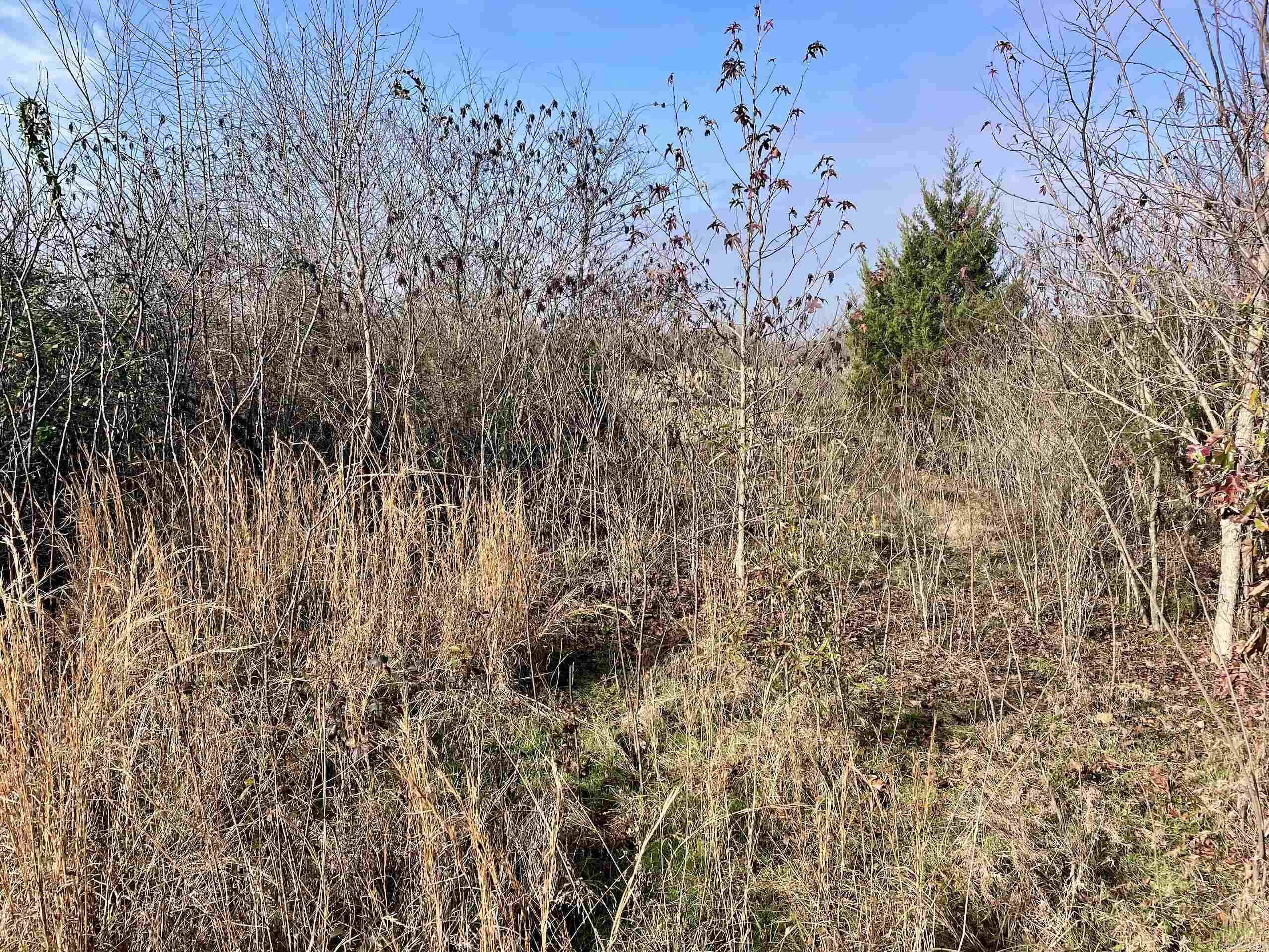 000 Red Hill  Mount Vernon, AR