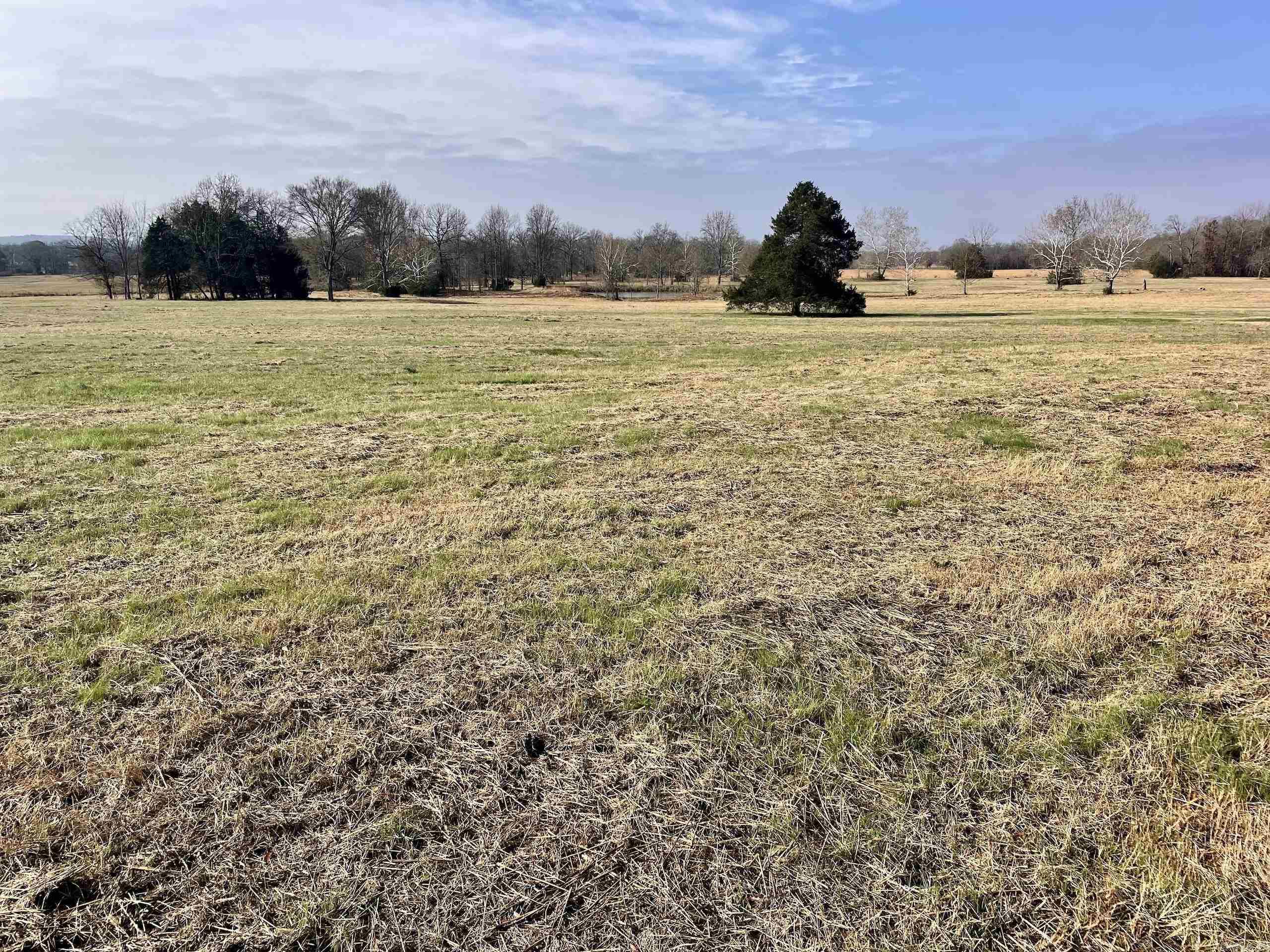 000 Red Hill  Mount Vernon, AR