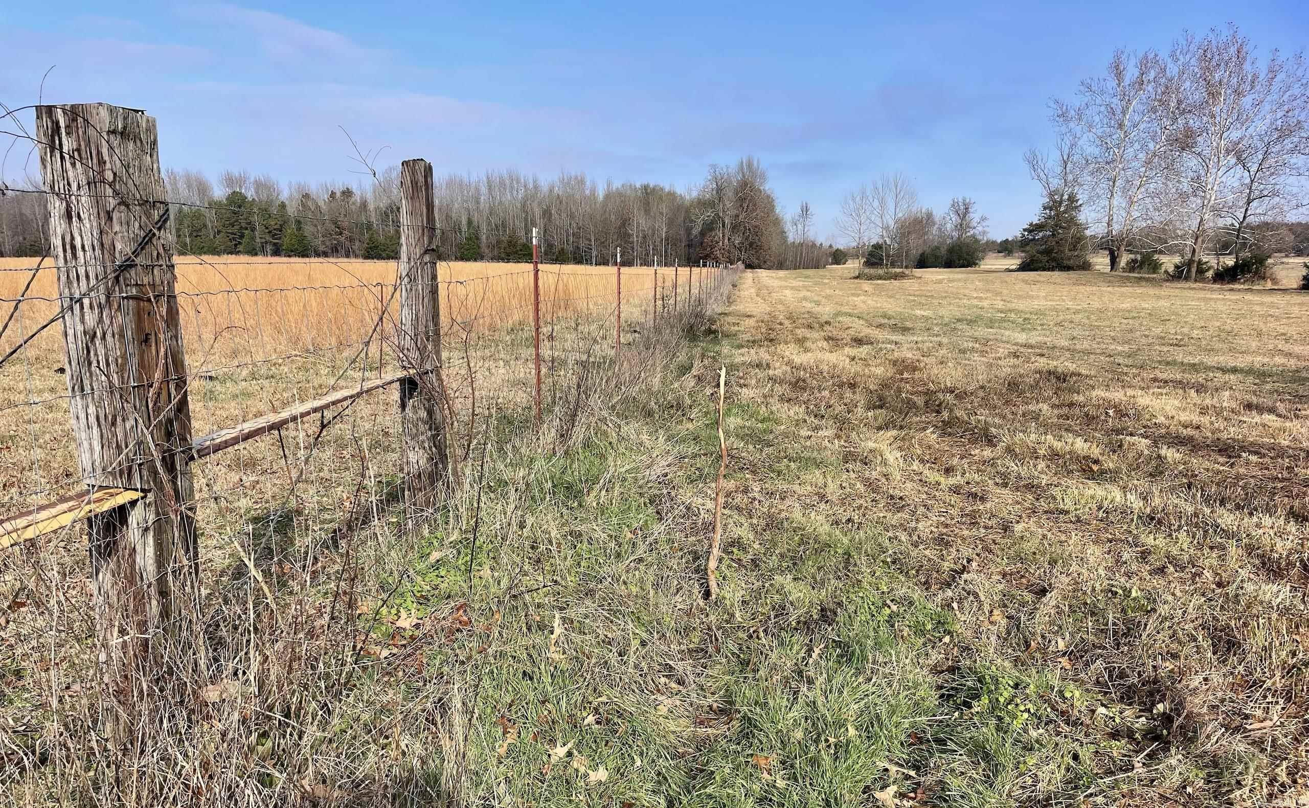 000 Red Hill  Mount Vernon, AR