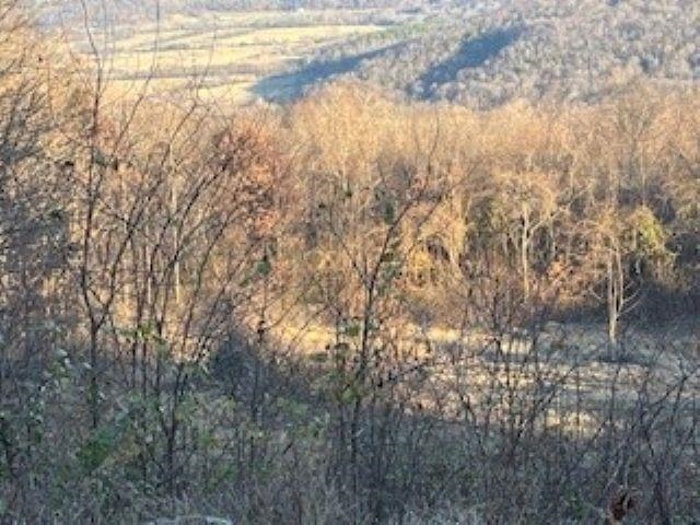 000 Cooper Point  Mountain View, AR