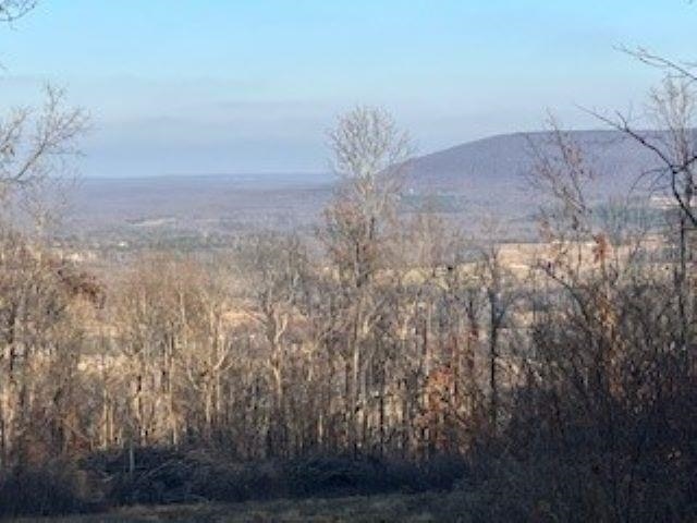 000 Cooper Point  Mountain View, AR