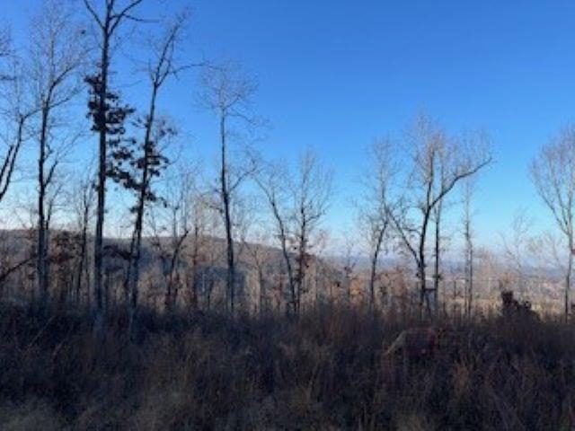 000 Cooper Point  Mountain View, AR