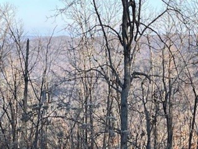 000 Cooper Point  Mountain View, AR