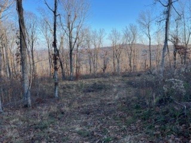 000 Cooper Point  Mountain View, AR