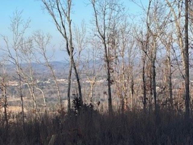 000 Cooper Point  Mountain View, AR