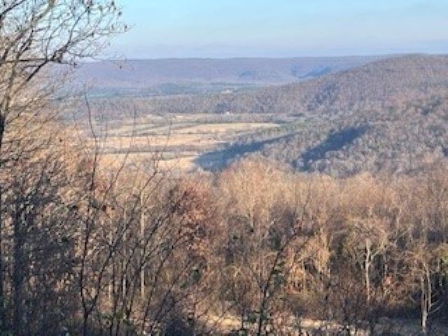 000 Cooper Point  Mountain View, AR