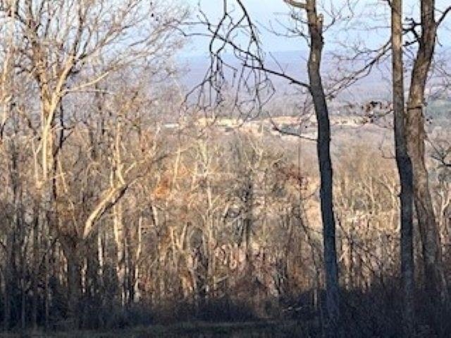 000 Cooper Point  Mountain View, AR