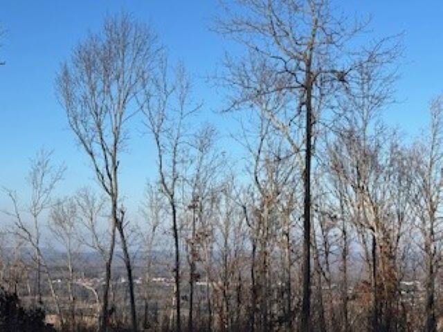 000 Cooper Point  Mountain View, AR