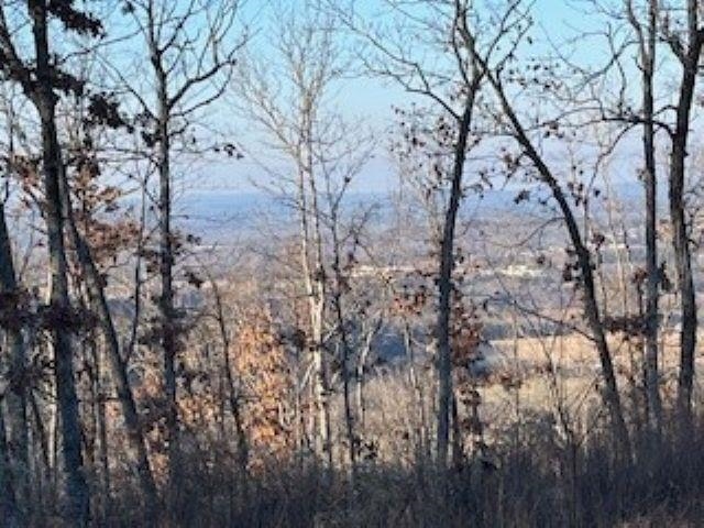 000 Cooper Point  Mountain View, AR