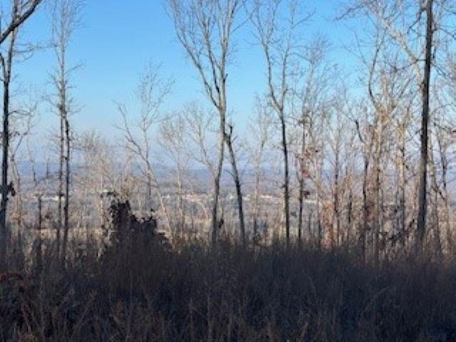 000 Cooper Point  Mountain View, AR