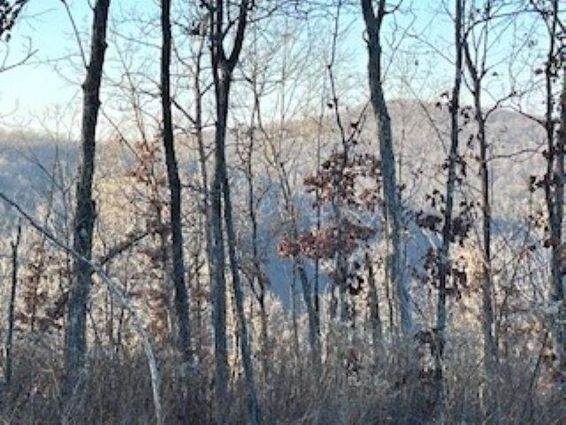 000 Cooper Point  Mountain View, AR